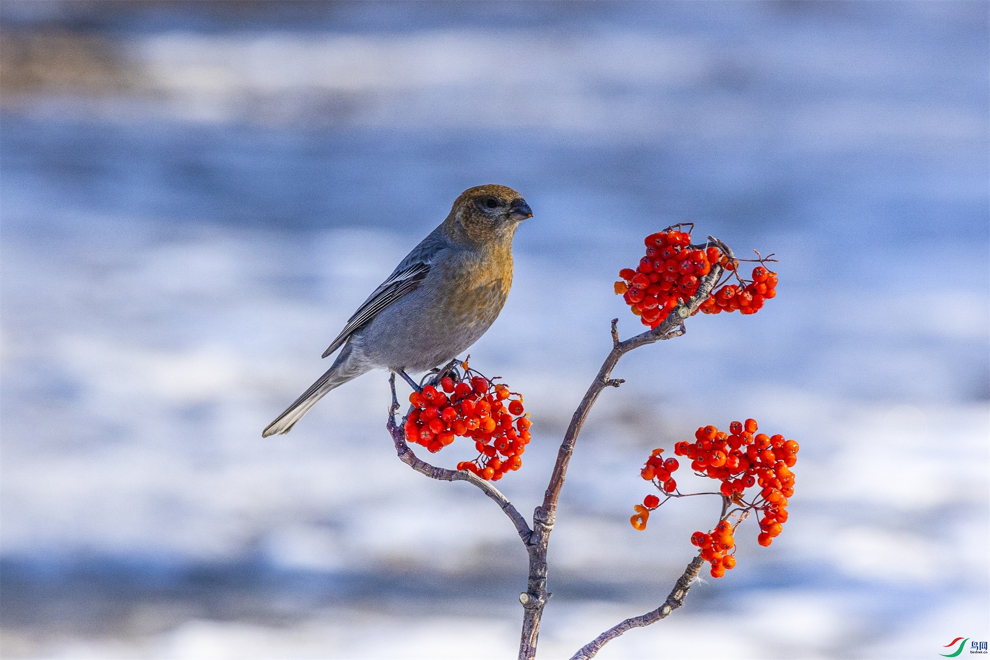 1K3A4956 ����1.jpg