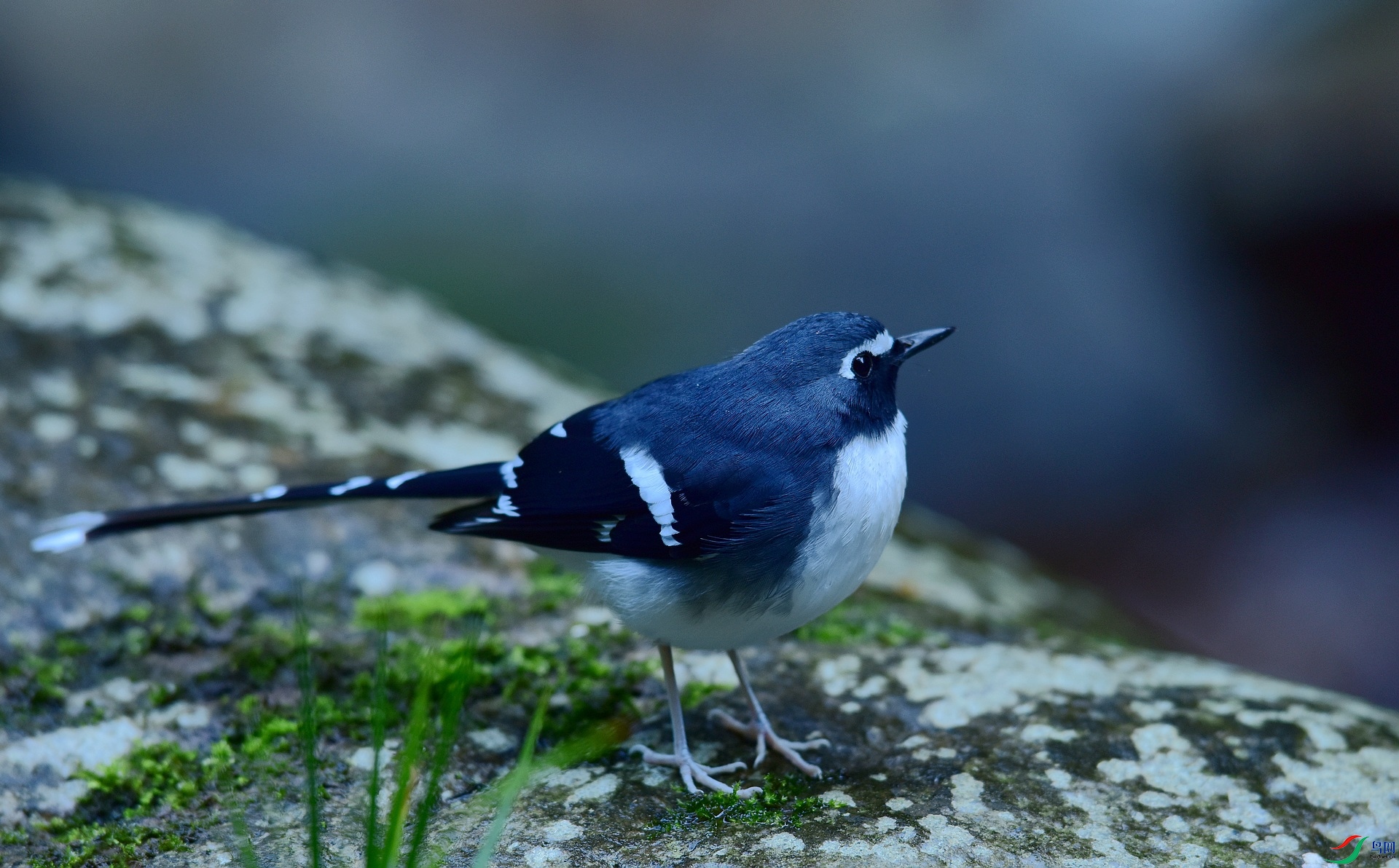 D8I_5782.jpg