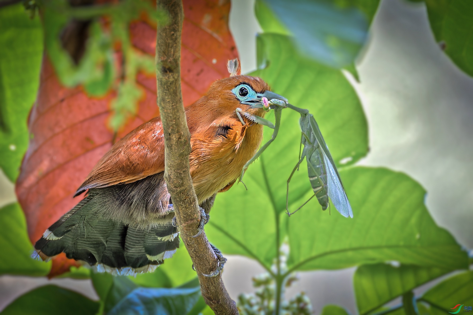 _97A2618-CR3 copy.jpg