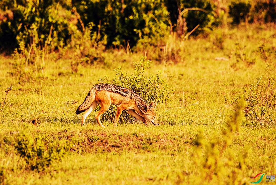 DSC_3474.jpg