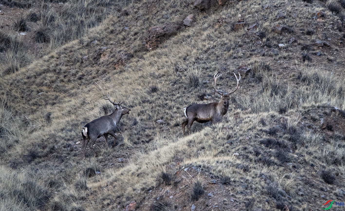 _DSC3204-2.jpg