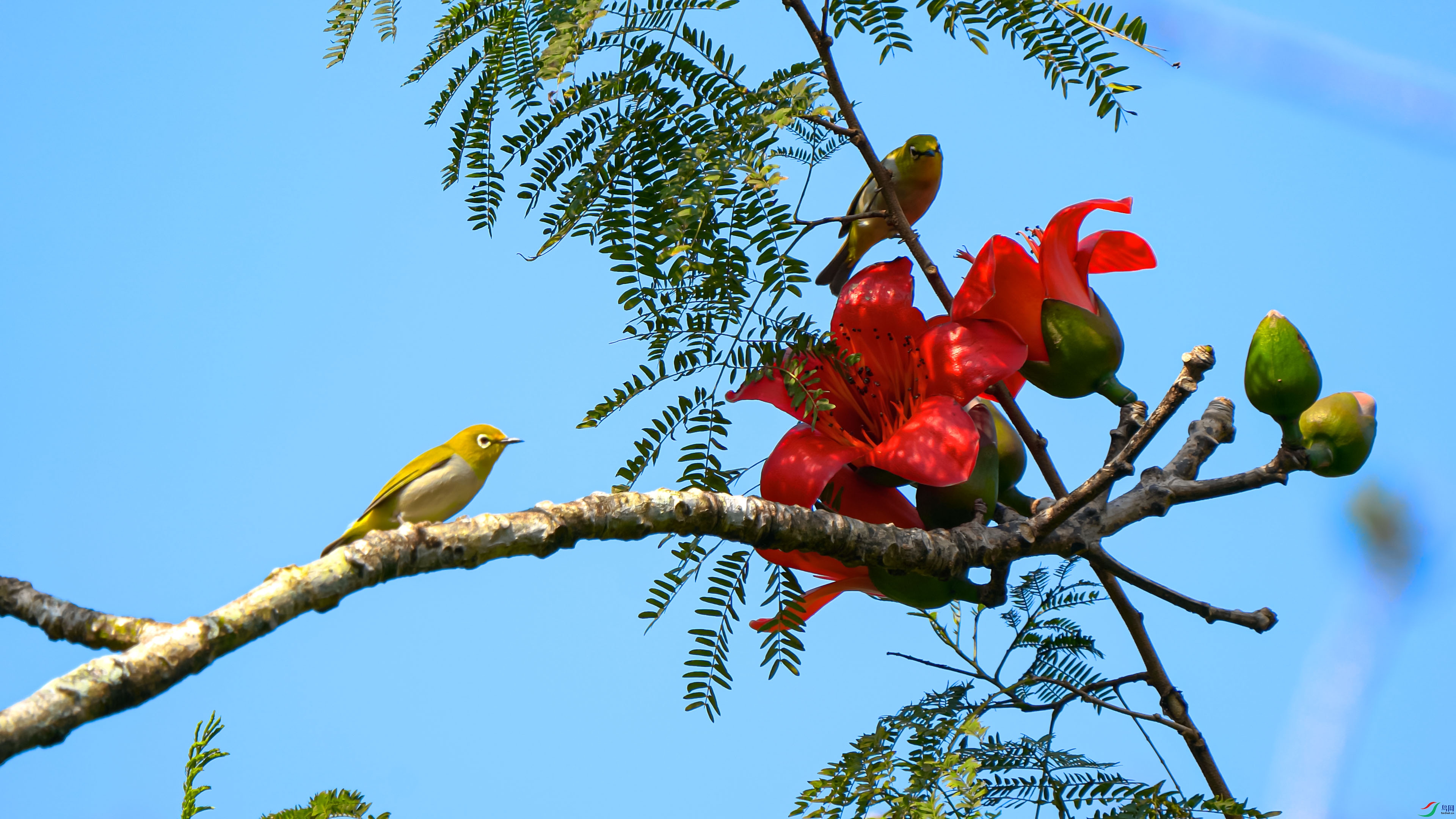 ���� 01.00_00_06_23.Still001.jpg