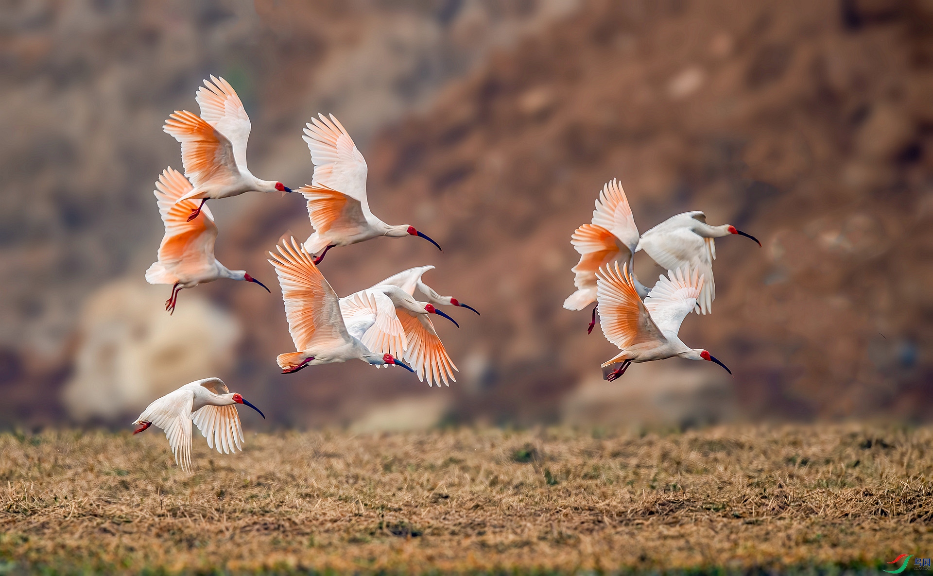 DSC_0960 ����_����.jpg