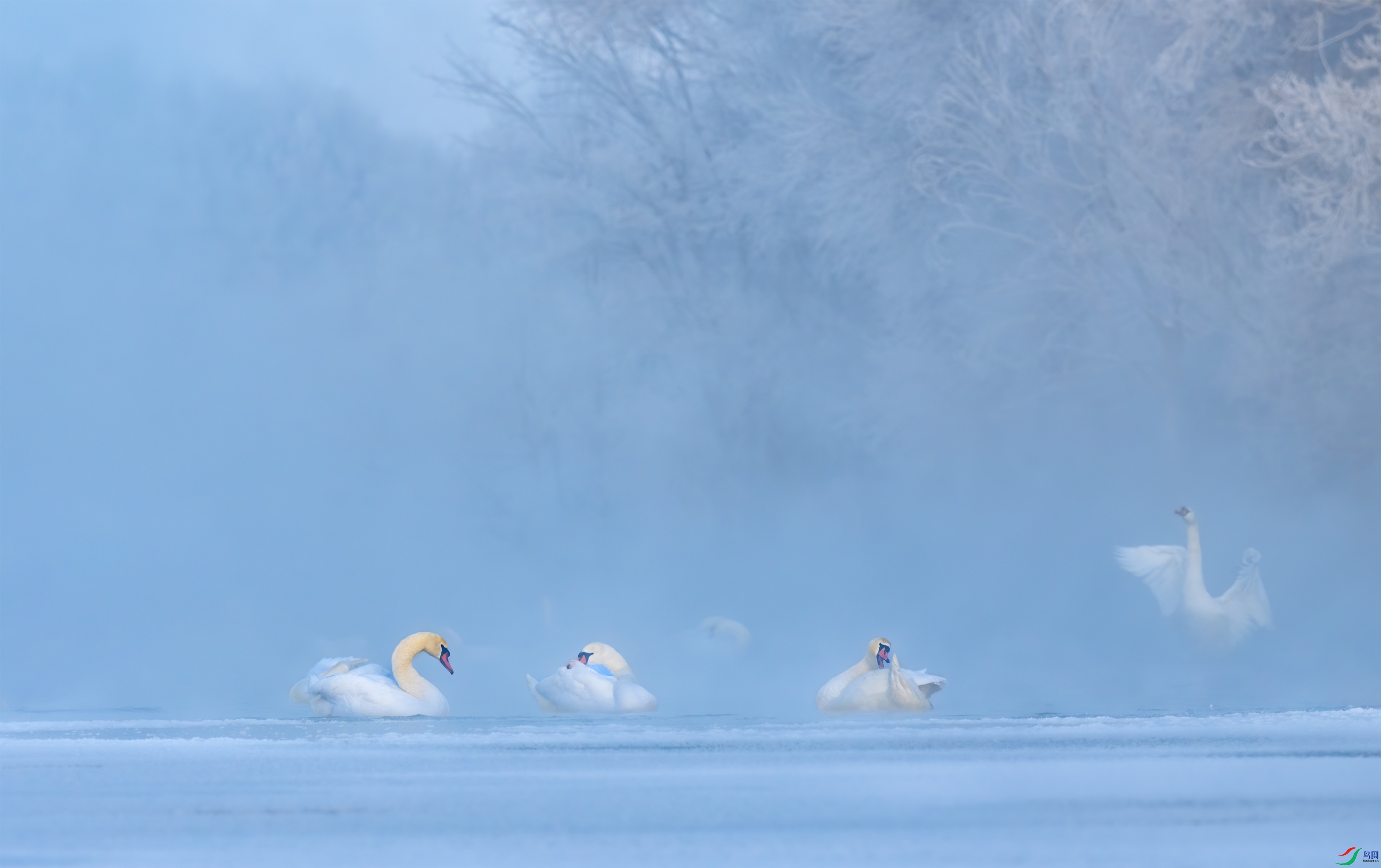 DSC_1327-11.jpg