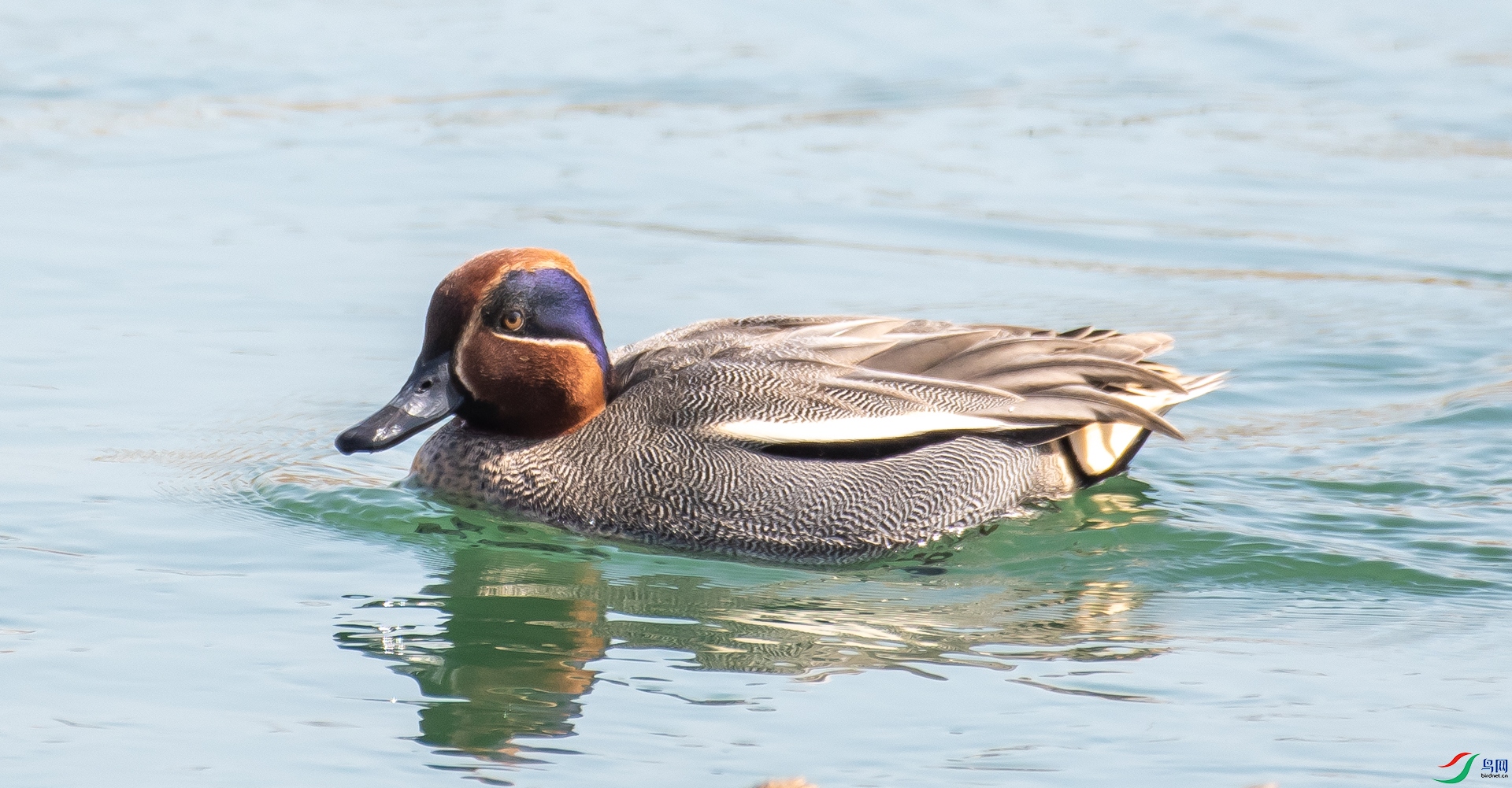 DSC_0799.jpg