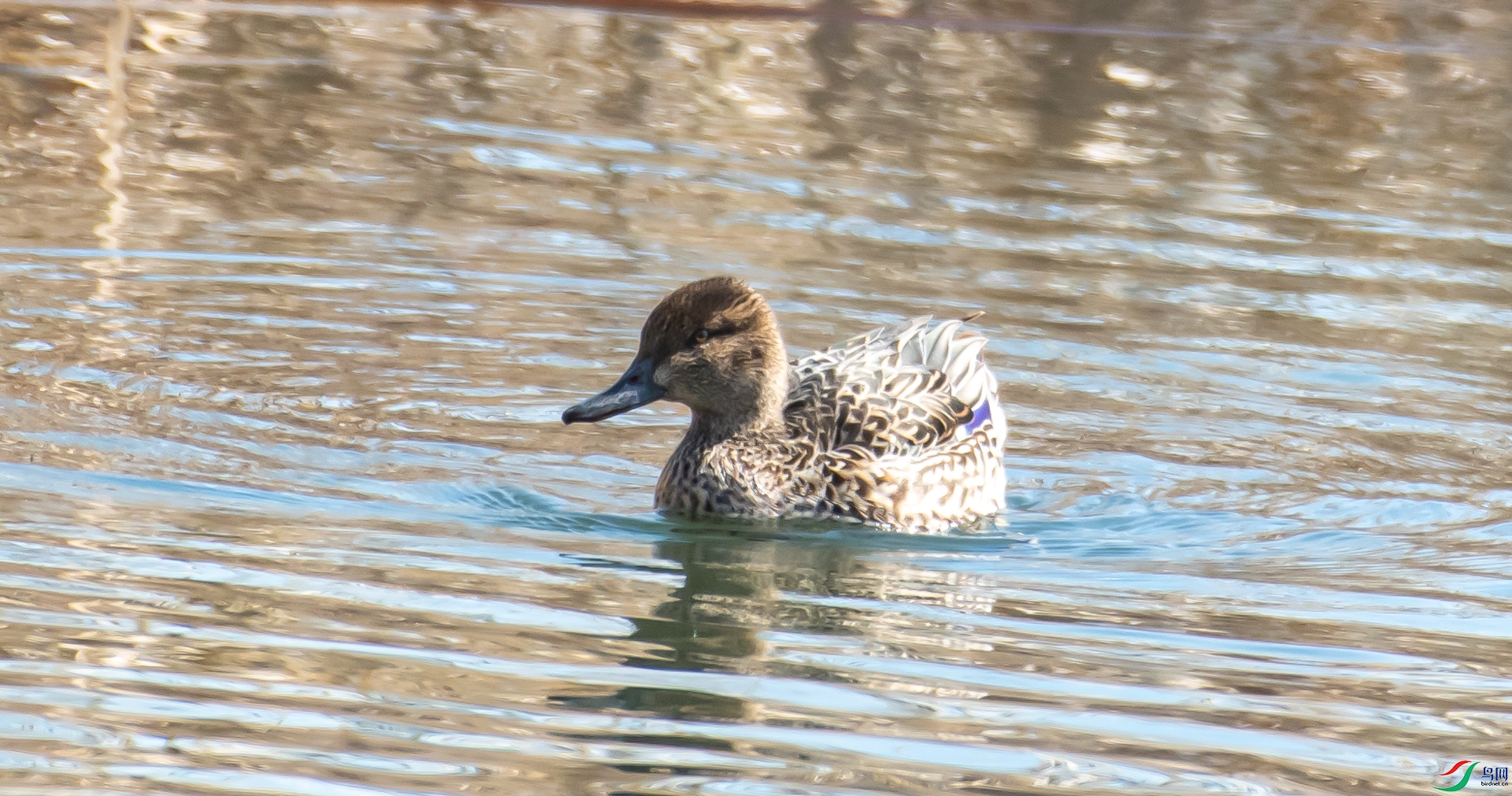 DSC_0626.jpg