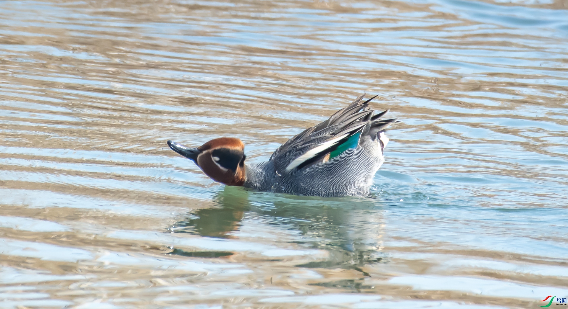DSC_0640.jpg