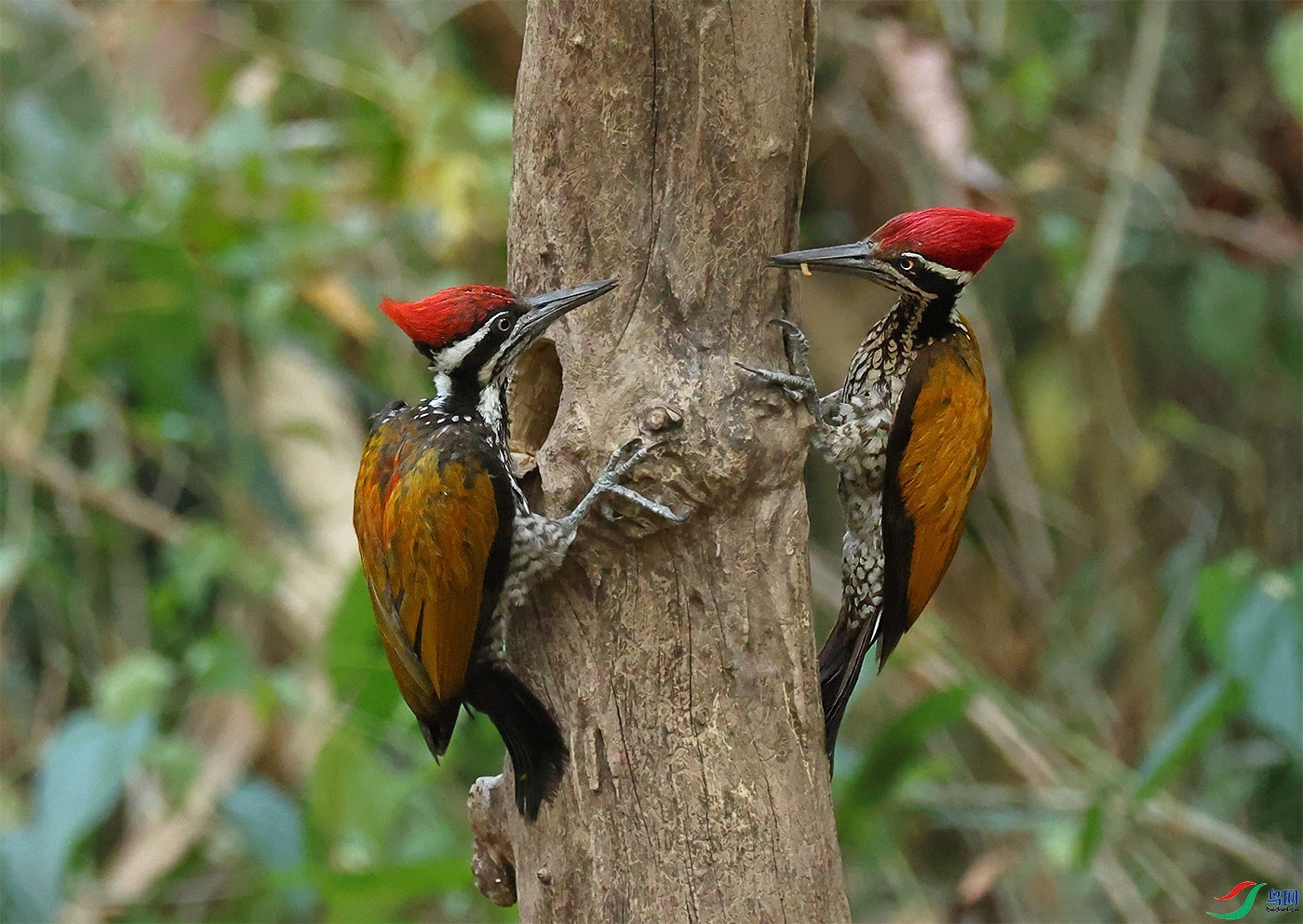 3.5 �ඡ������ʦ��Ʒ  ԩ��·խ  �ٻ�2024��3��5����Ӱʦ��ҳ����.jpg