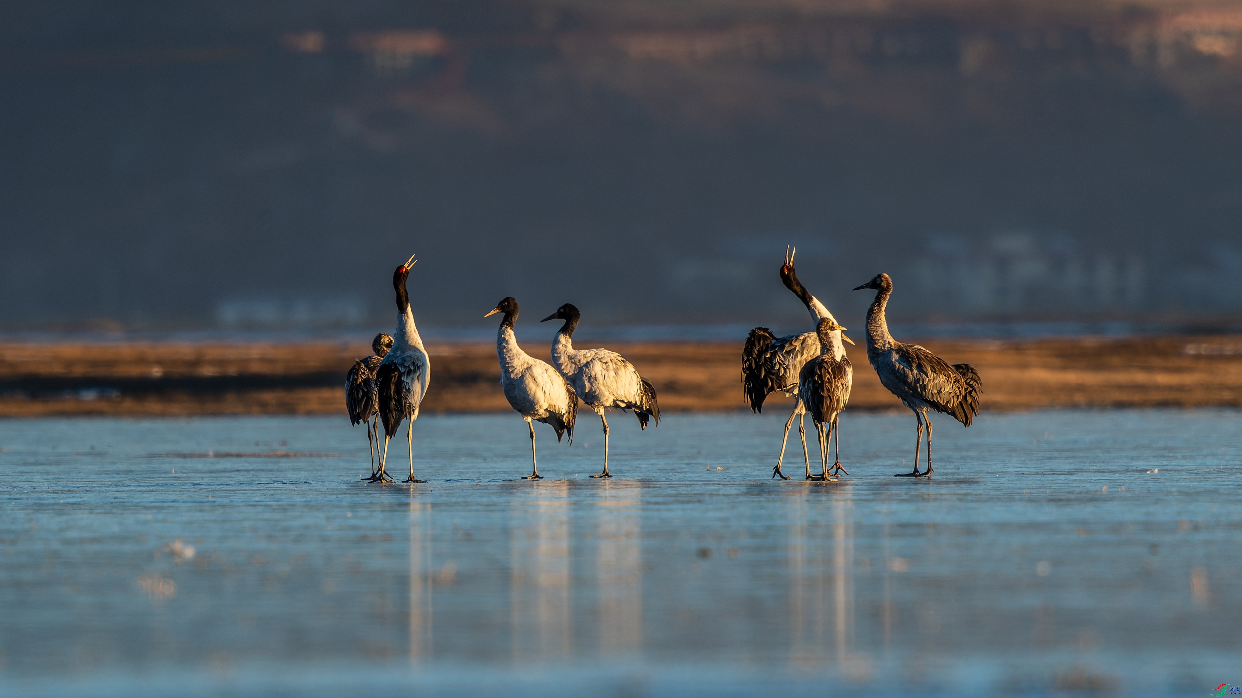 3.6 ������ʦ��Ʒ  �����  �ٻ�2024��3��6����Ӱʦ��ҳ����.jpg