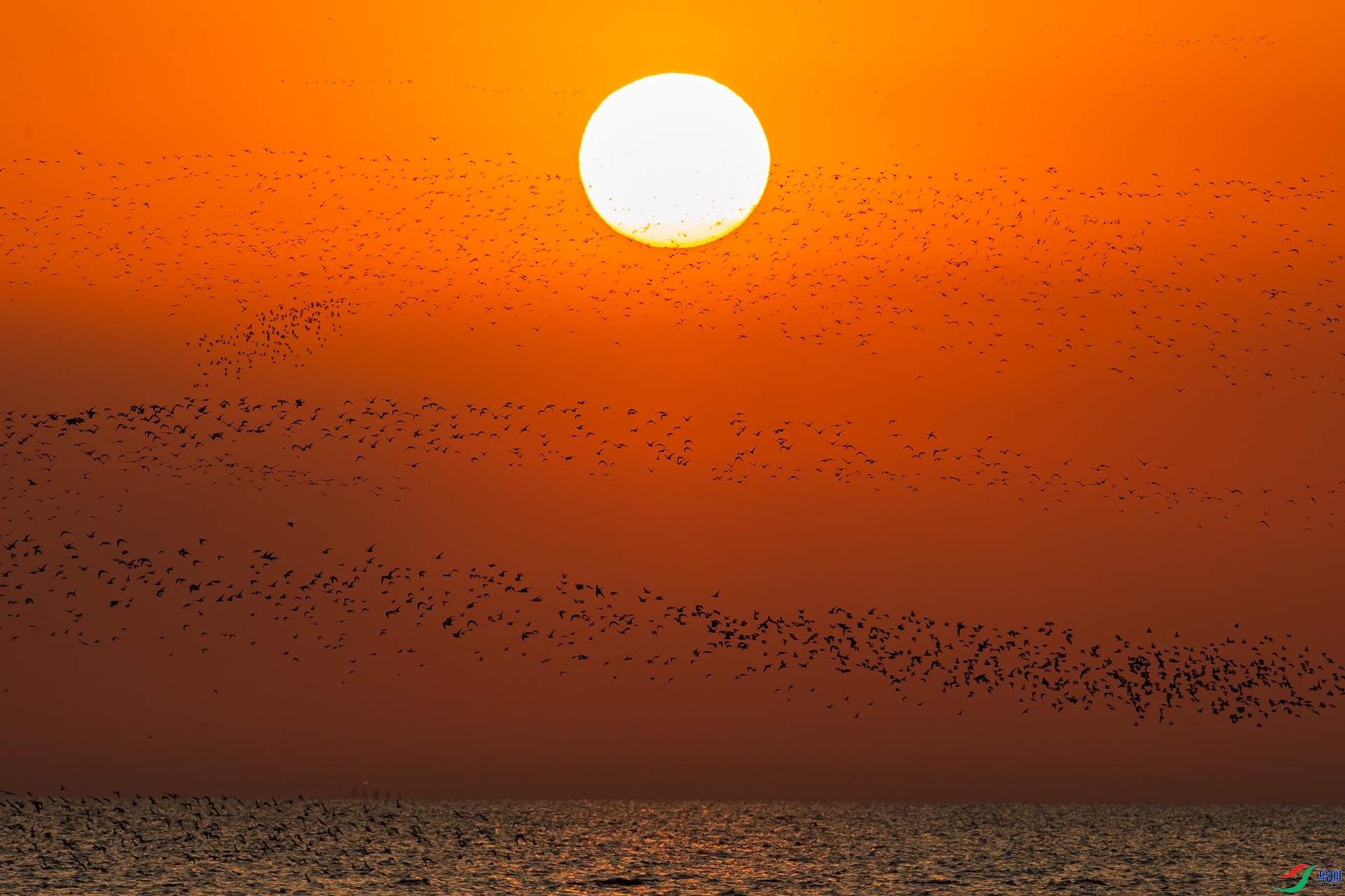 3.6 �۶�������ʦ��Ʒ  ��㴩Խ  �ٻ�2024��3��6����Ӱʦ��ҳ����.jpg