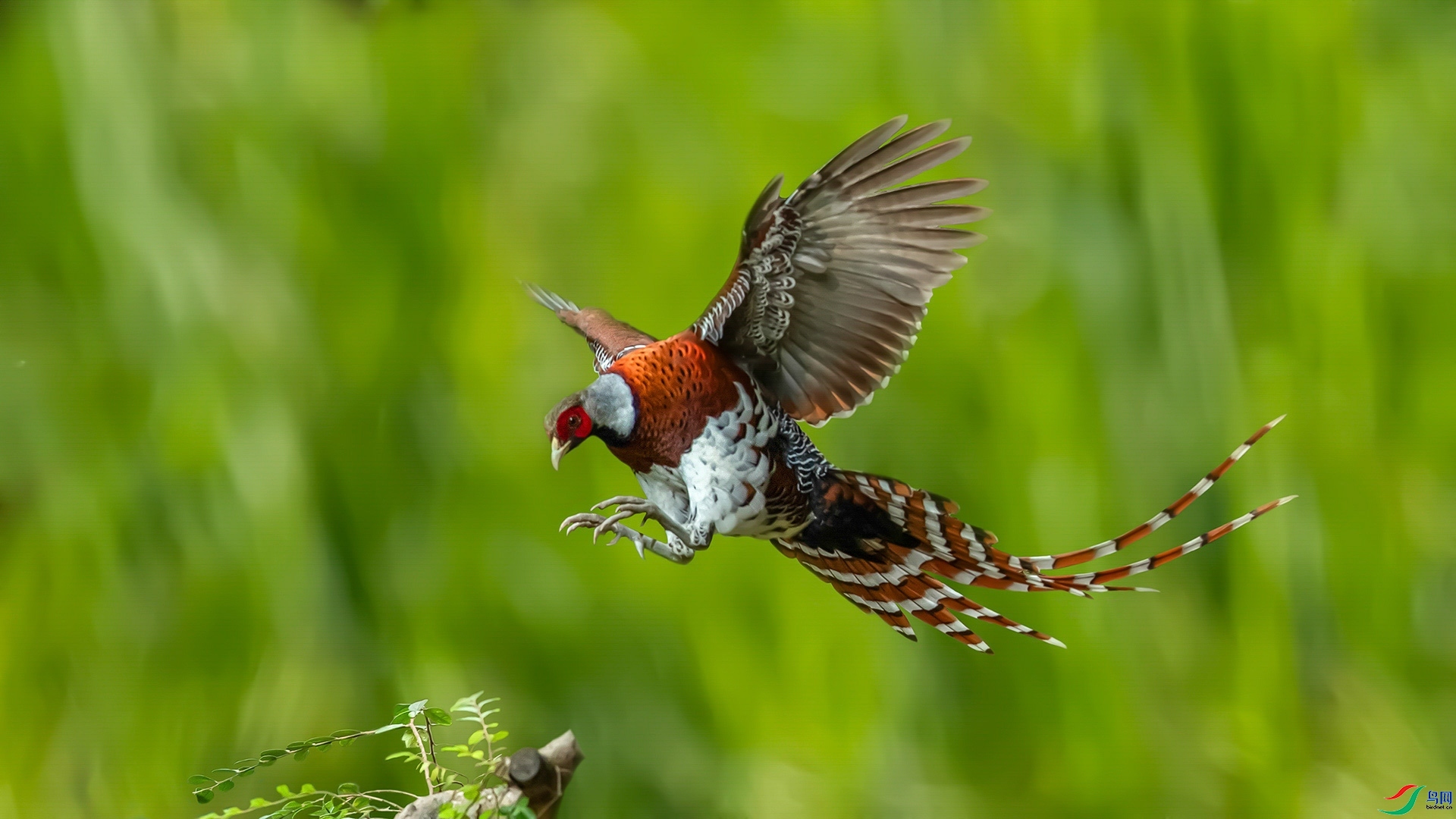 3.6 ��������ʦ��Ʒ  �׾���β��  �ٻ�2024��3��6��������ҳ����.jpg