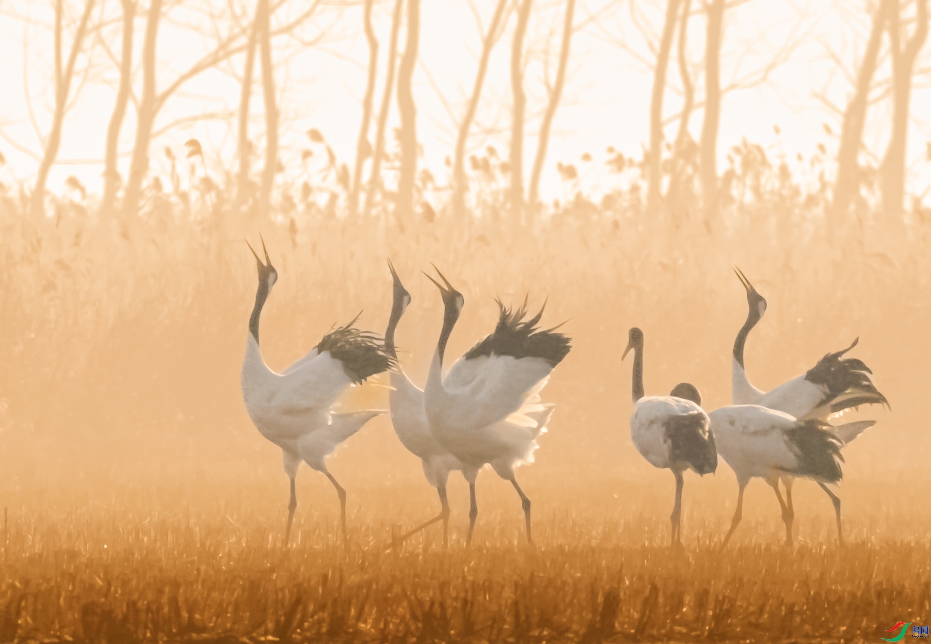 3.6 ����a��ʦ��Ʒ  ����  �ٻ�2024��3��6�ջ�Ա��ҳ����.jpg