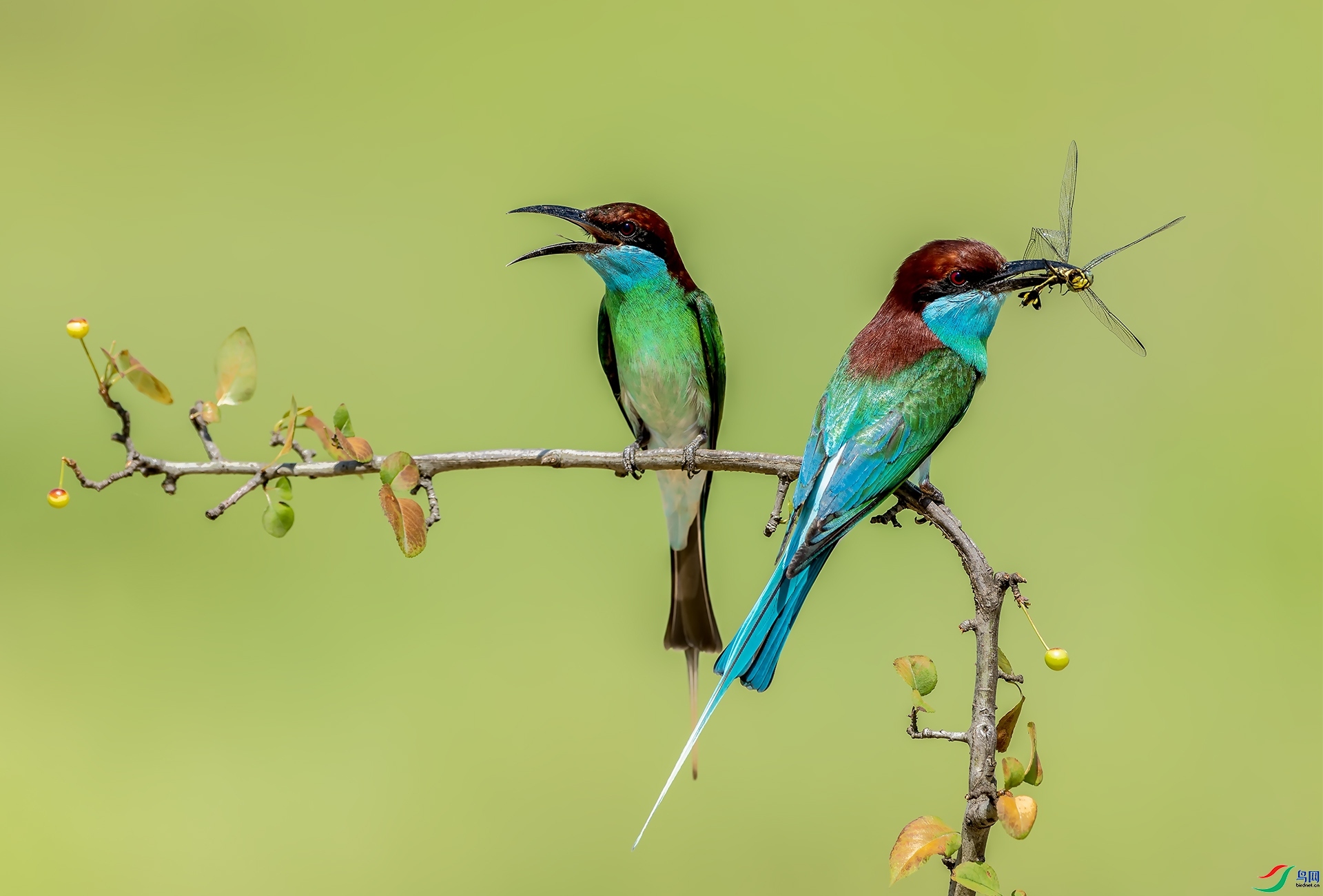 3.7 ��Ӱ������ʦ��Ʒ  �����仢  �ٻ�2024��3��7��������ҳ����.jpg