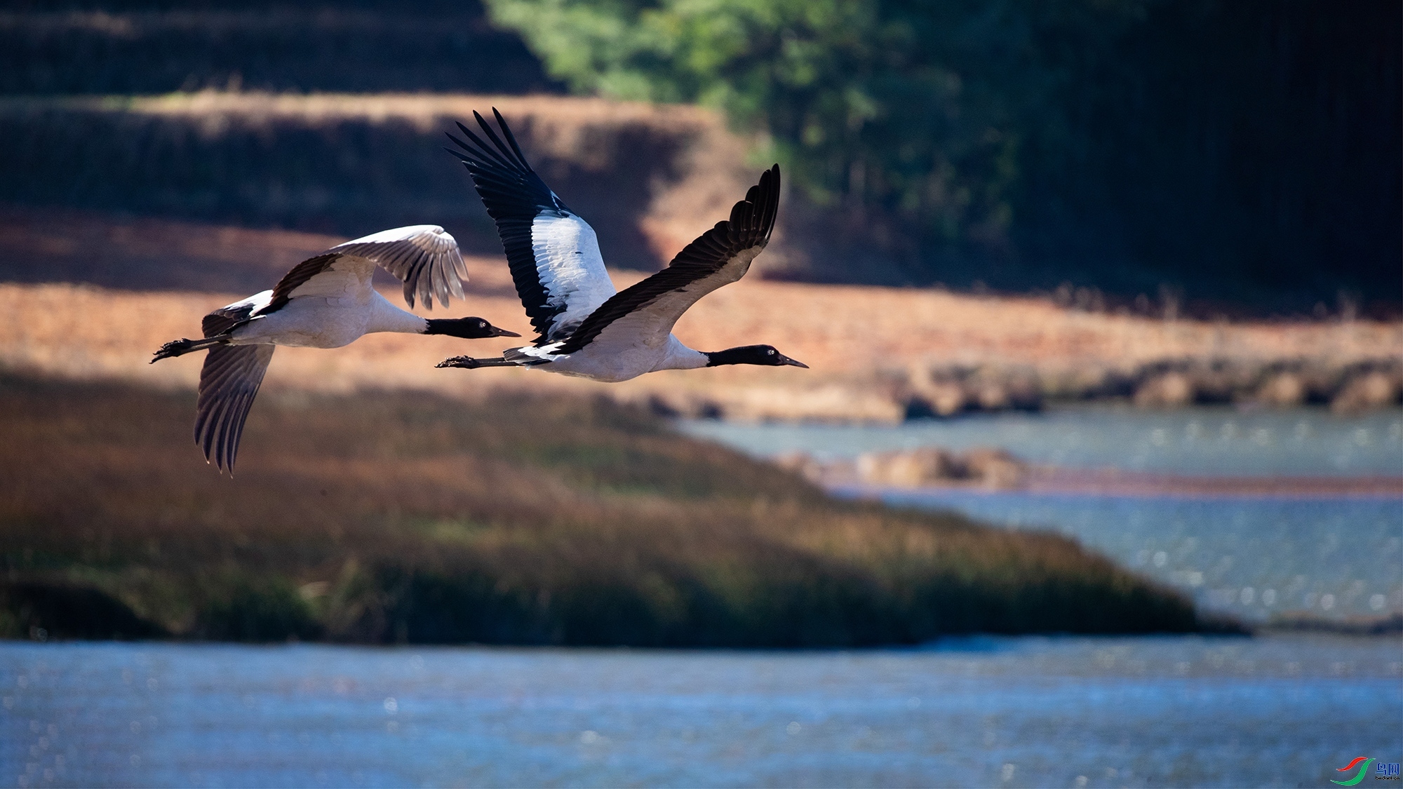 3.7 ��Ϲ������ʦ��Ʒ  Х��ھ�˫��  �ٻ�2024��3��7�ջ�Ա��ҳ����.jpg