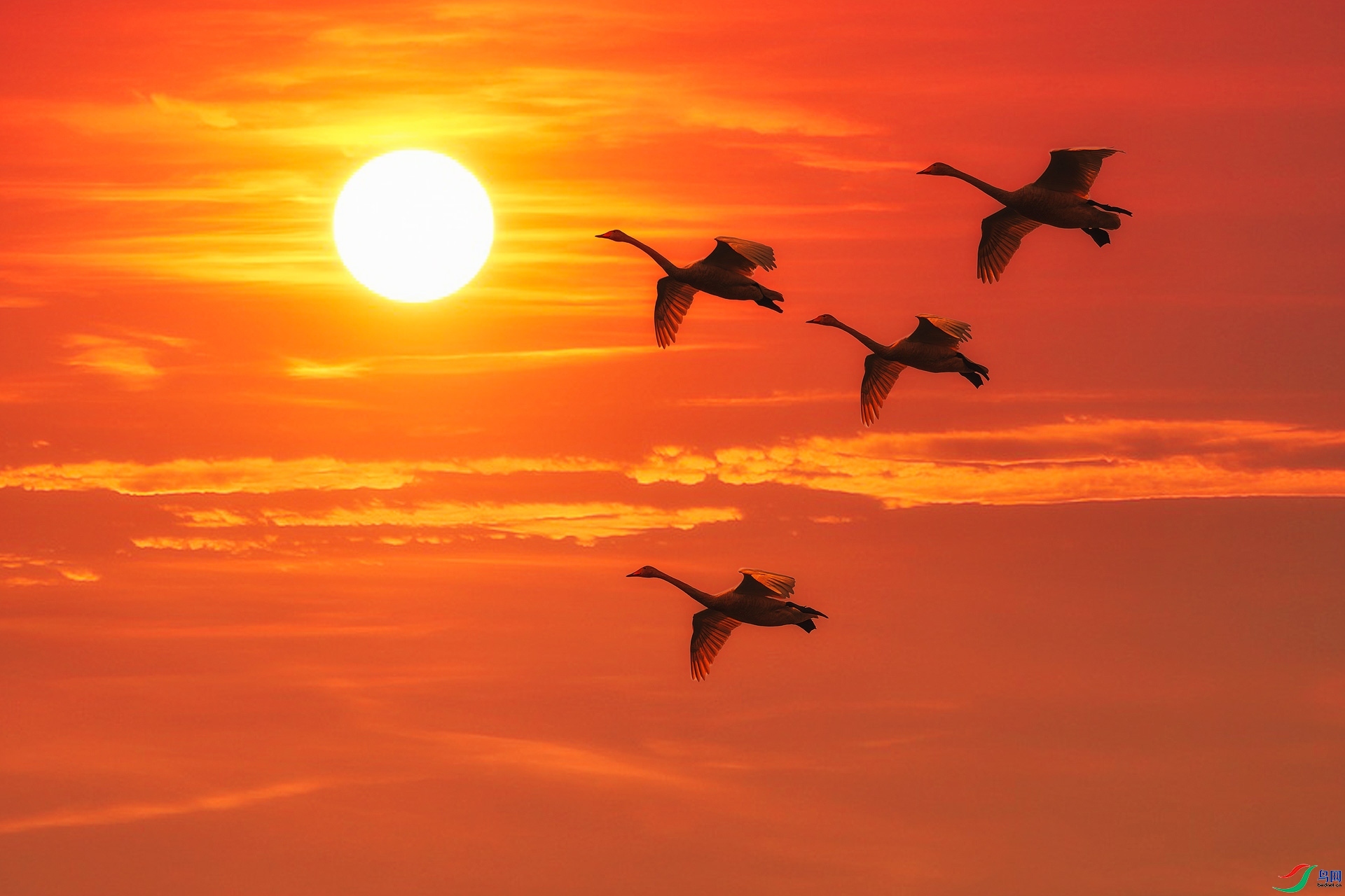 3.8 ���죨��������ʦ��Ʒ  ����̫���Ĵ����  �ٻ�2024��3��8��������ҳ����.jpg