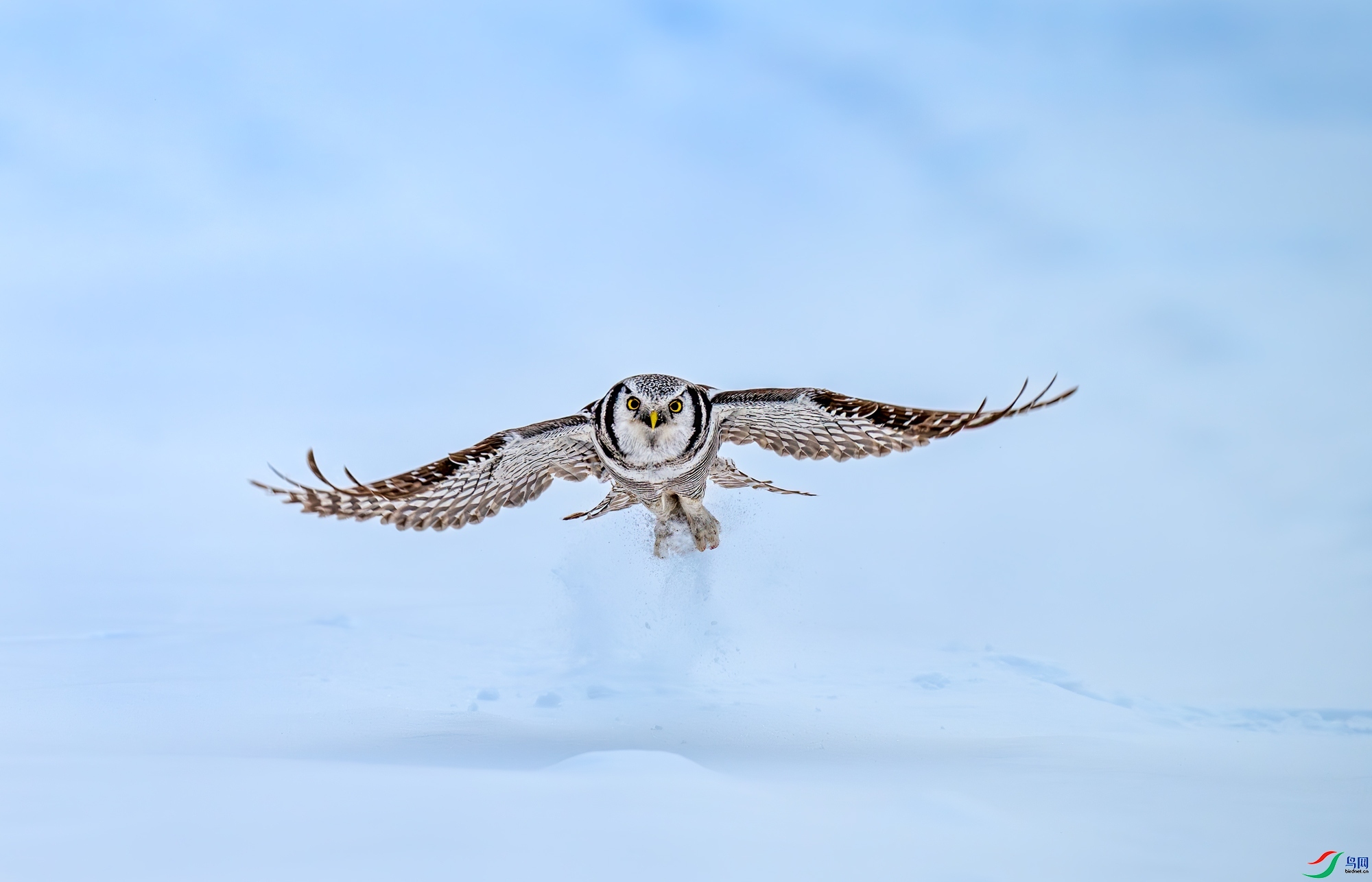 3.8 ������ͯ��ʦ��Ʒ  ���^  �ٻ�2024��3��8����Ӱʦ��ҳ����.jpg