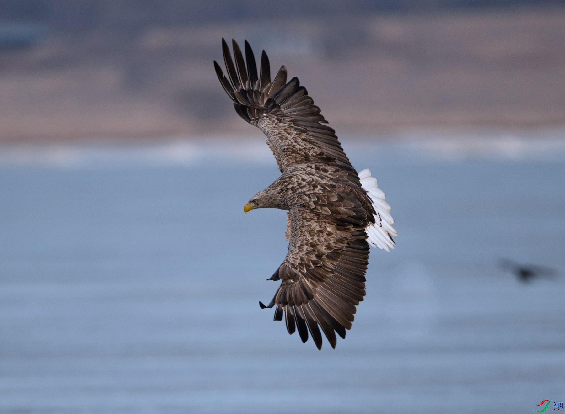 DSC_9862 ����_����.jpg