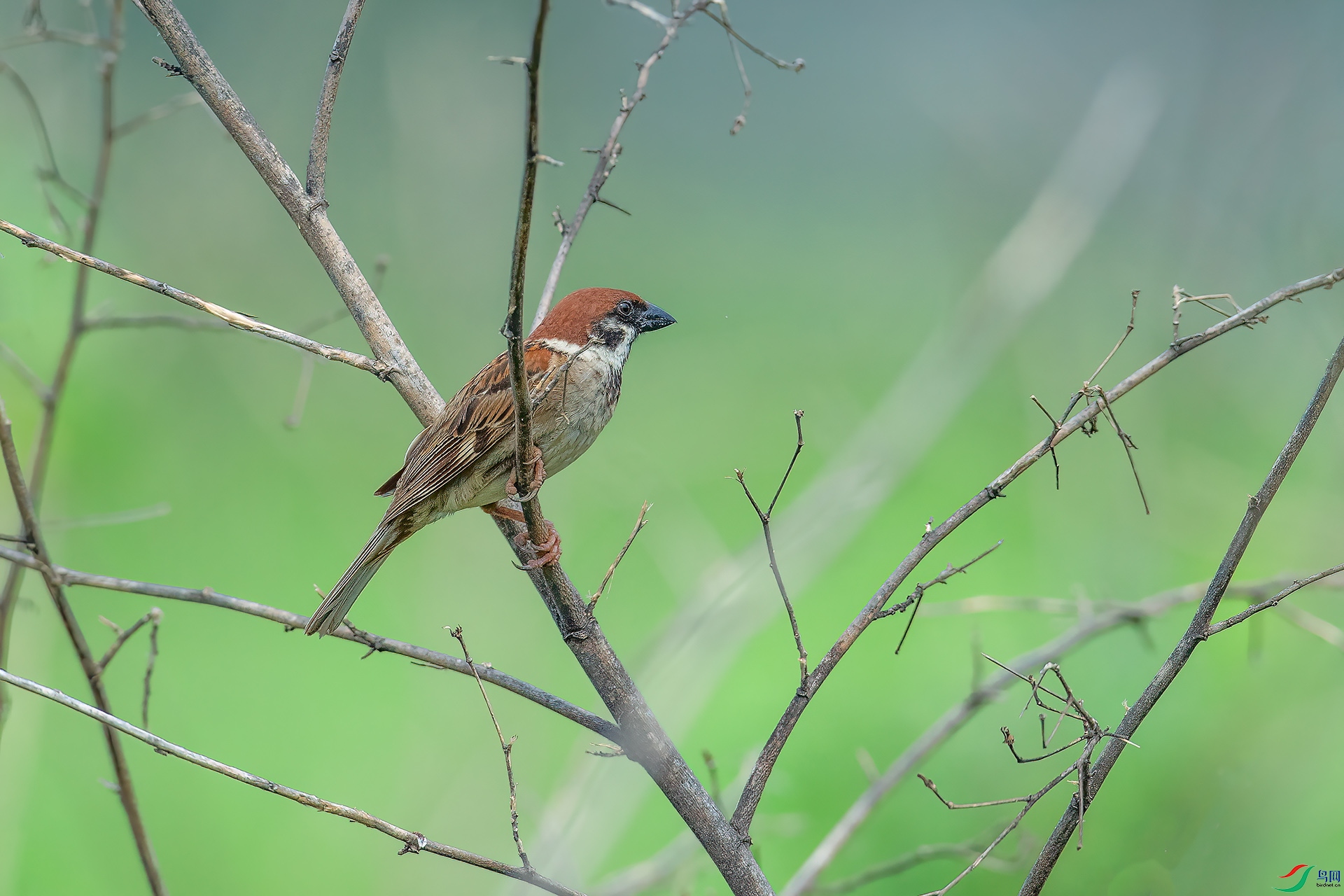 DSC_6194.jpg