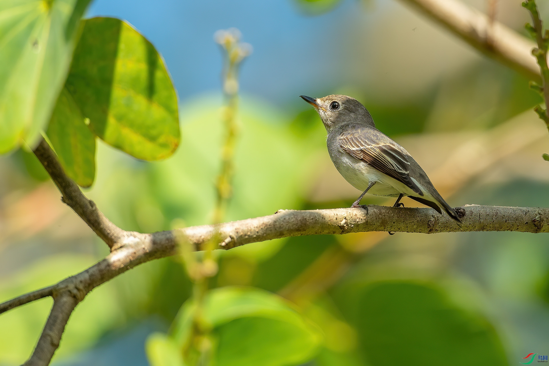 DSC_7922.jpg