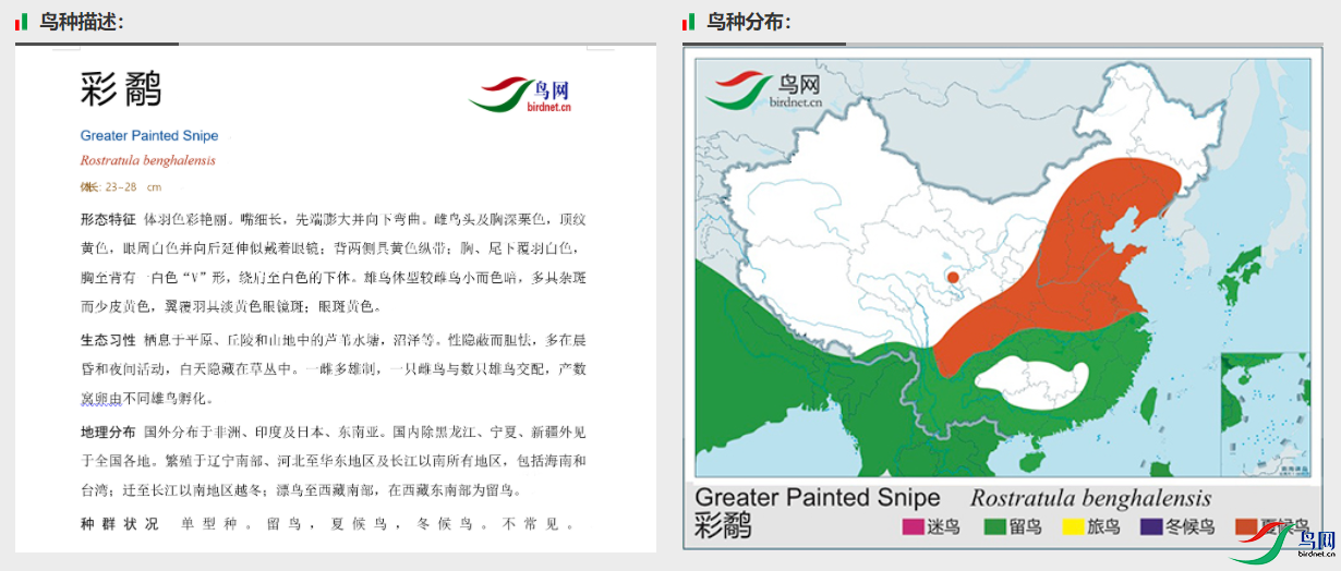 dfcd200aebb9007a7aa75e0cf963d21.png
