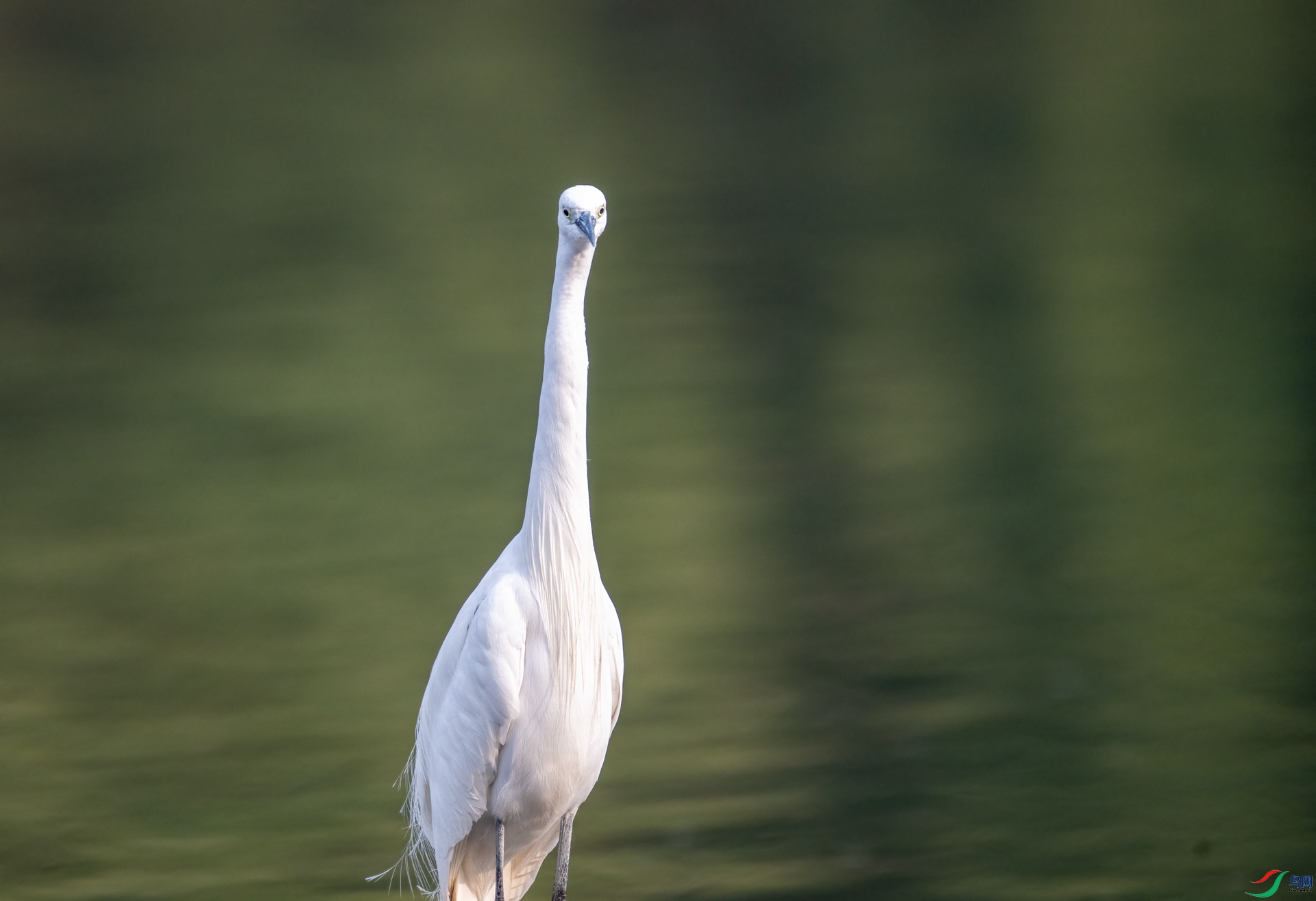DSC_3668.jpg