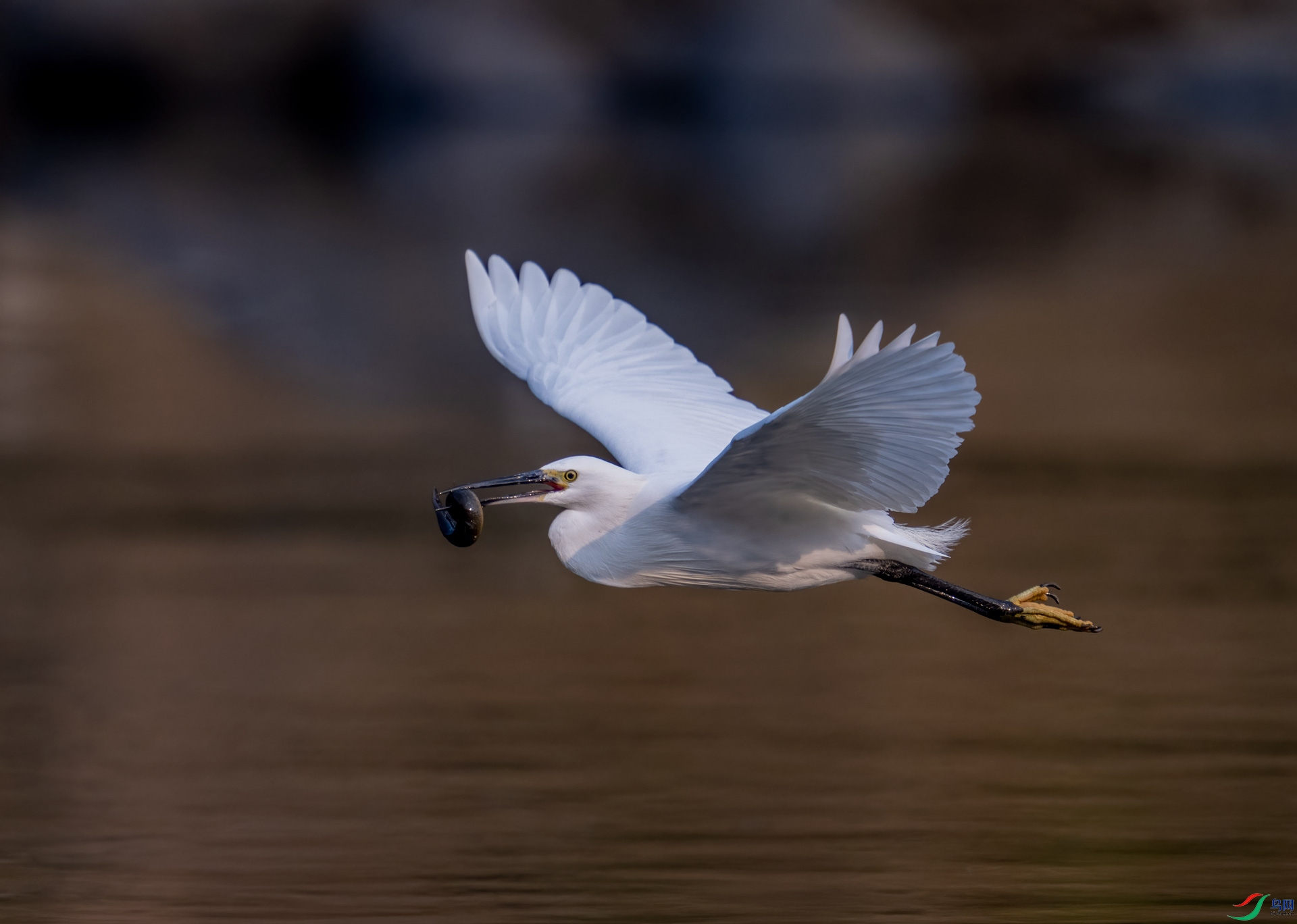 DSC_5419.jpg