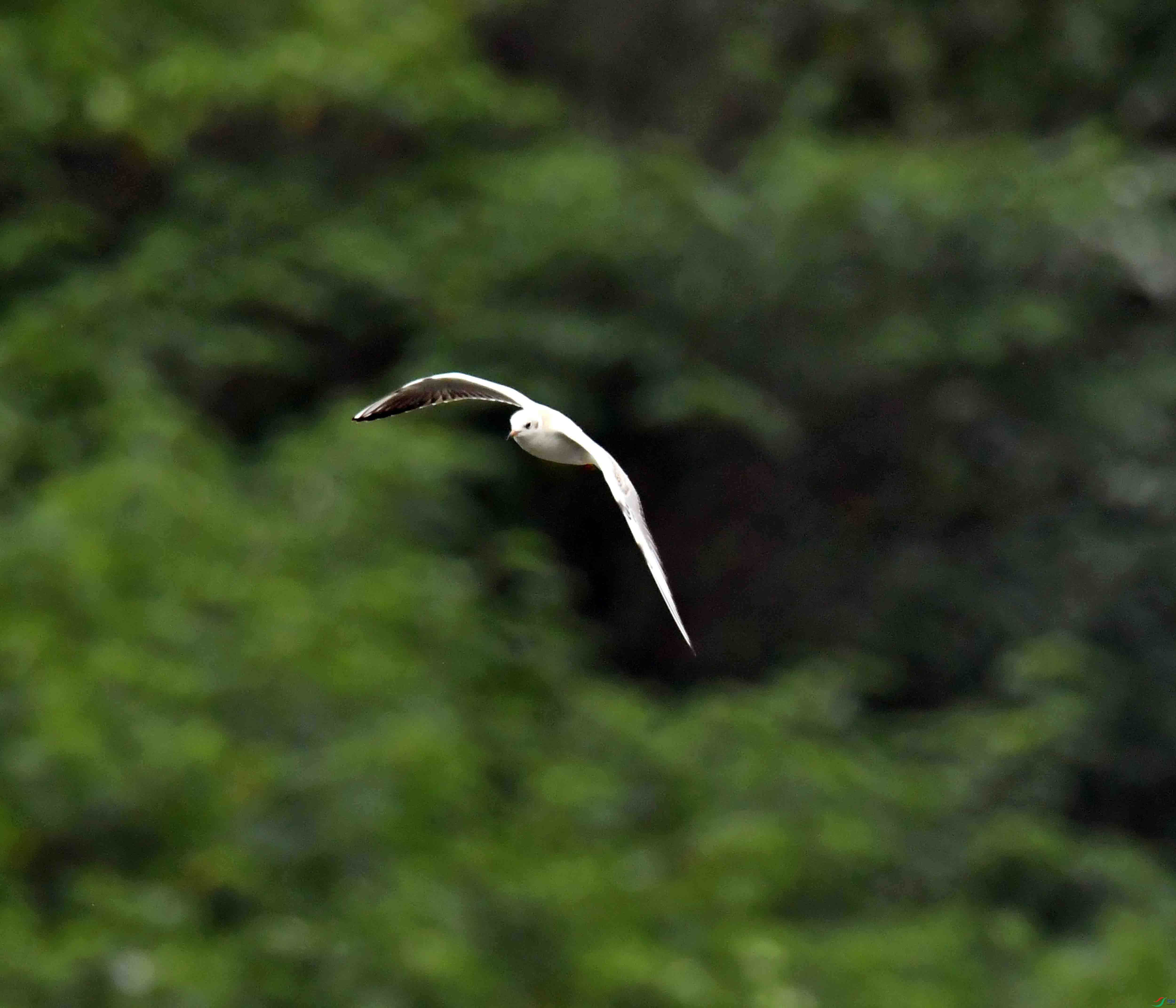DSC_6947.JPG