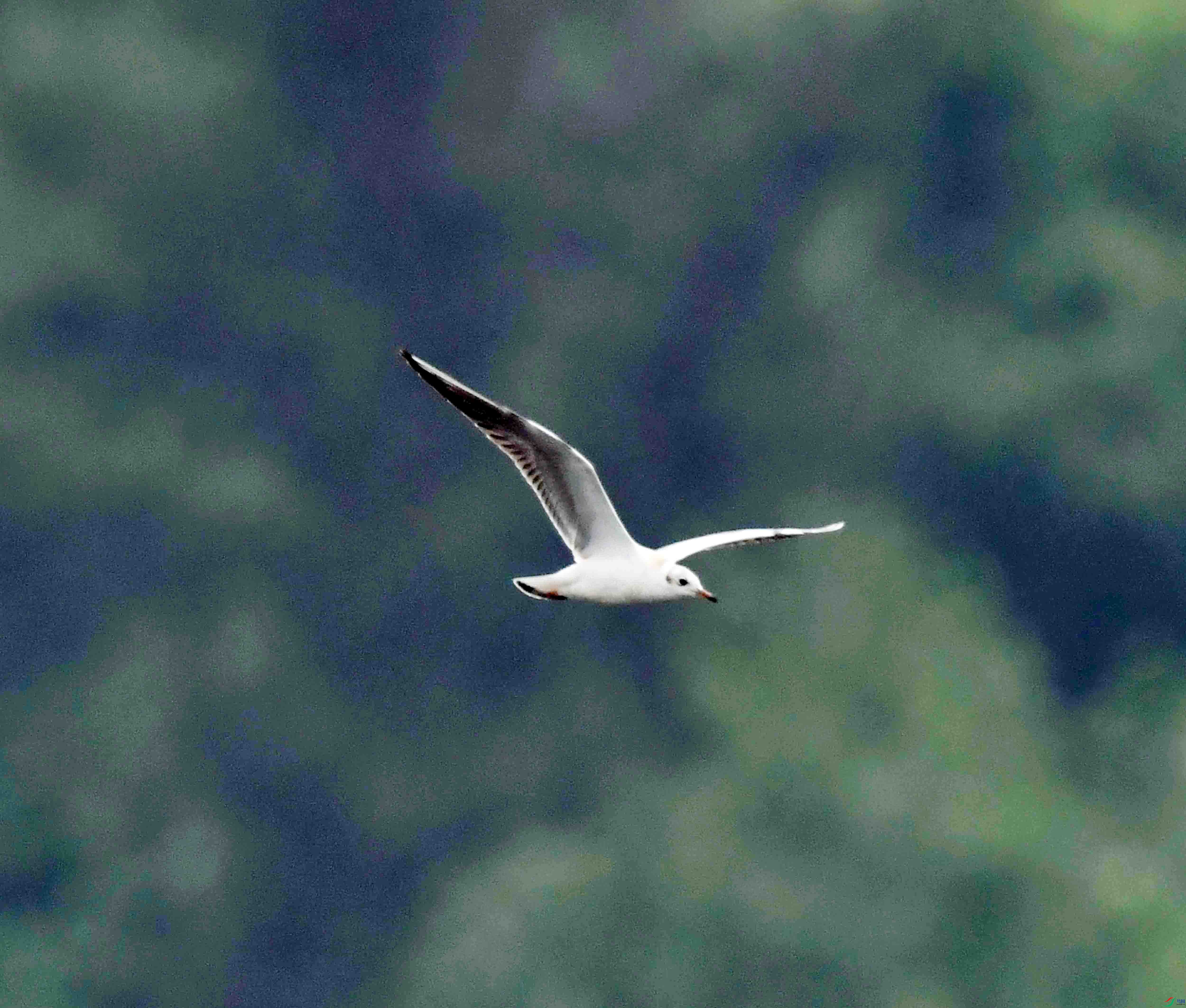 DSC_6965.JPG