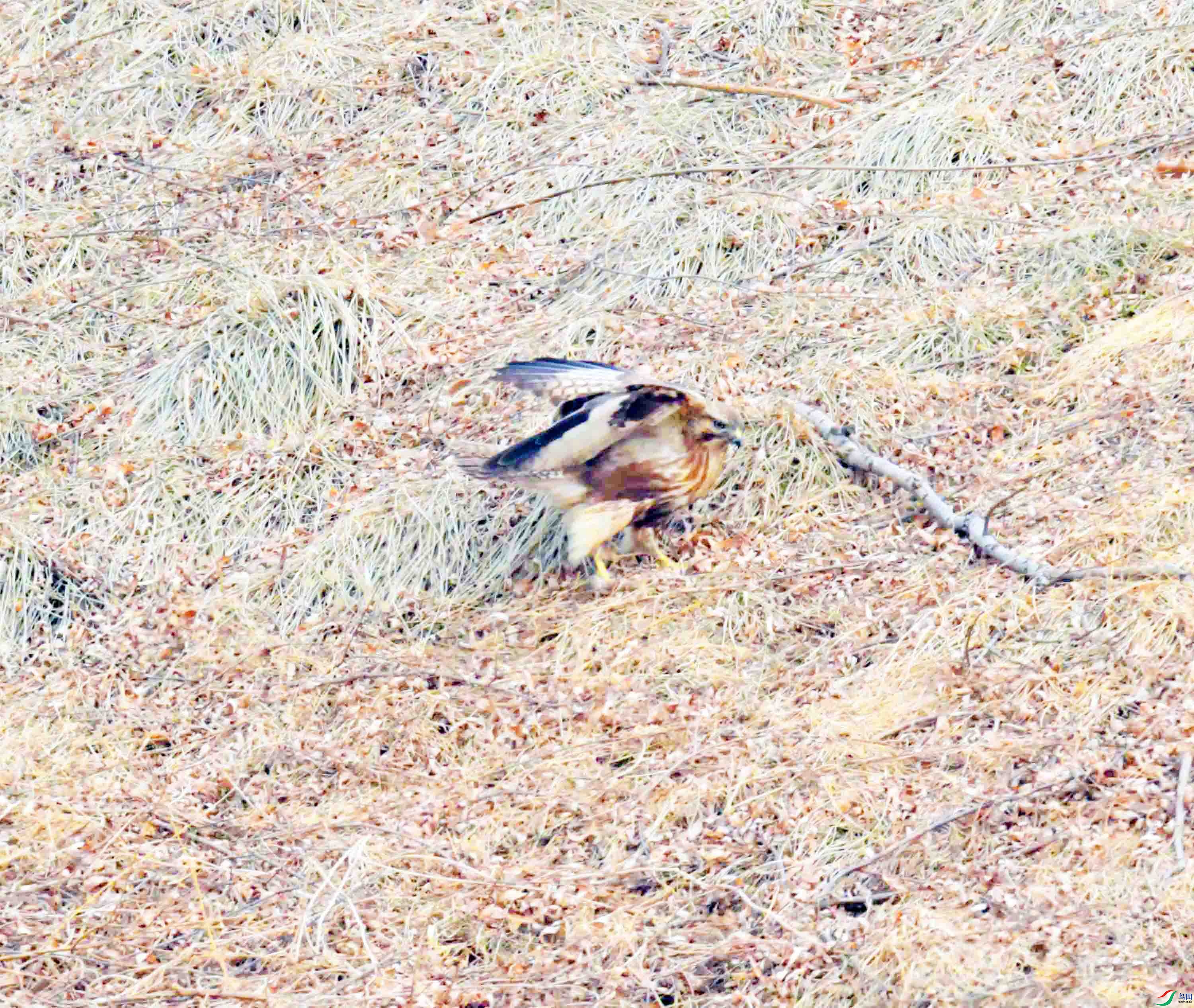 DSC_2623.JPG