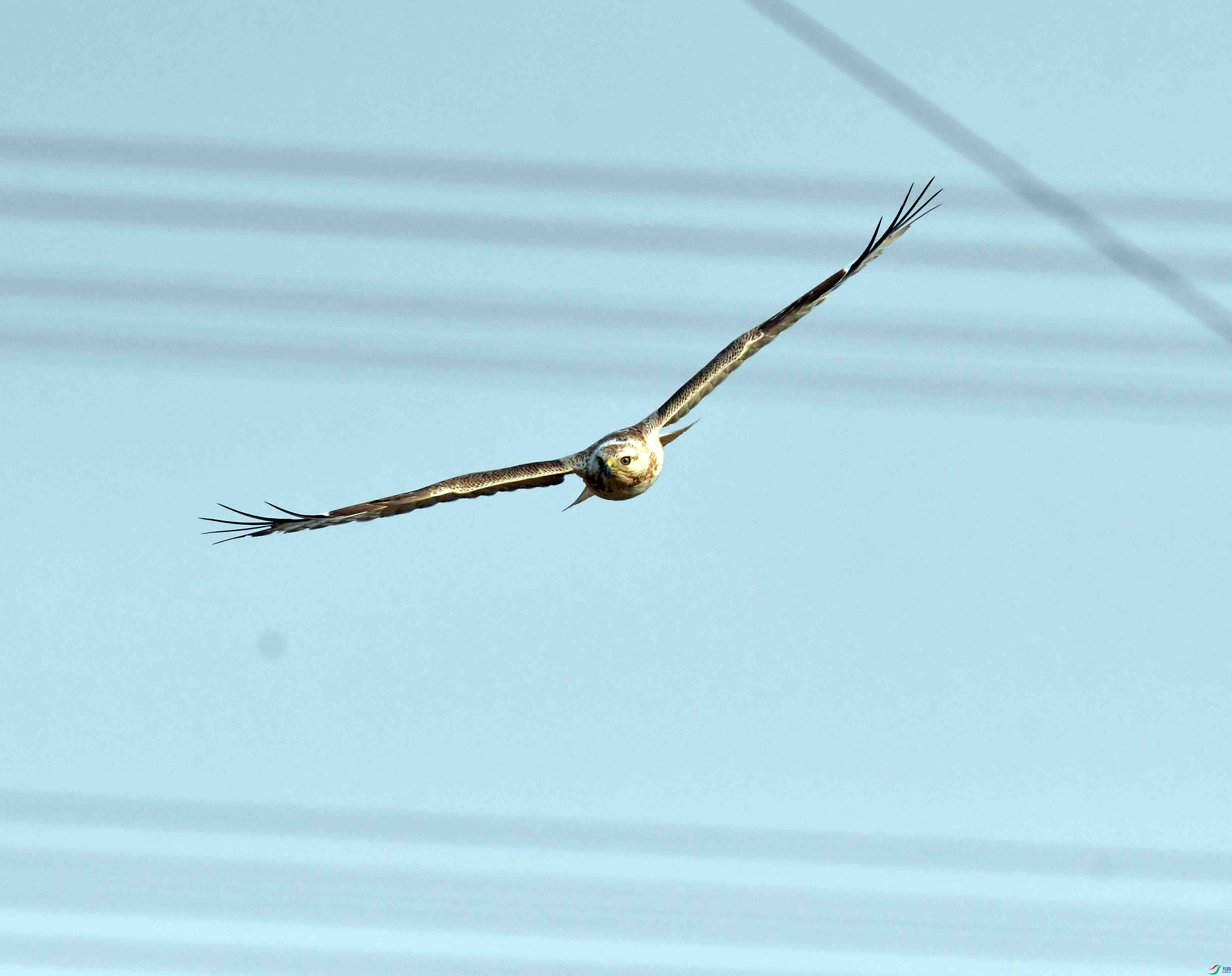 DSC_6064.JPG