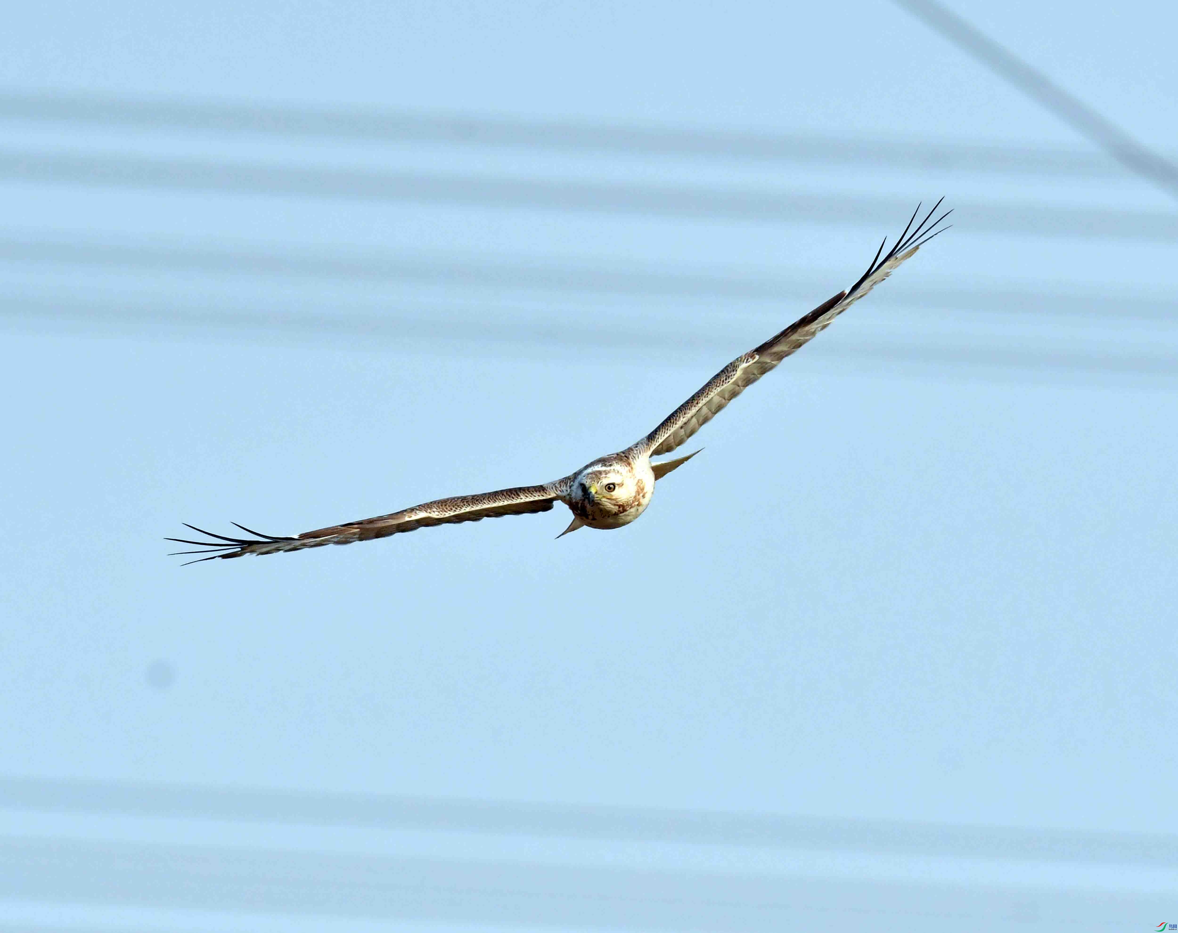 DSC_6065.JPG