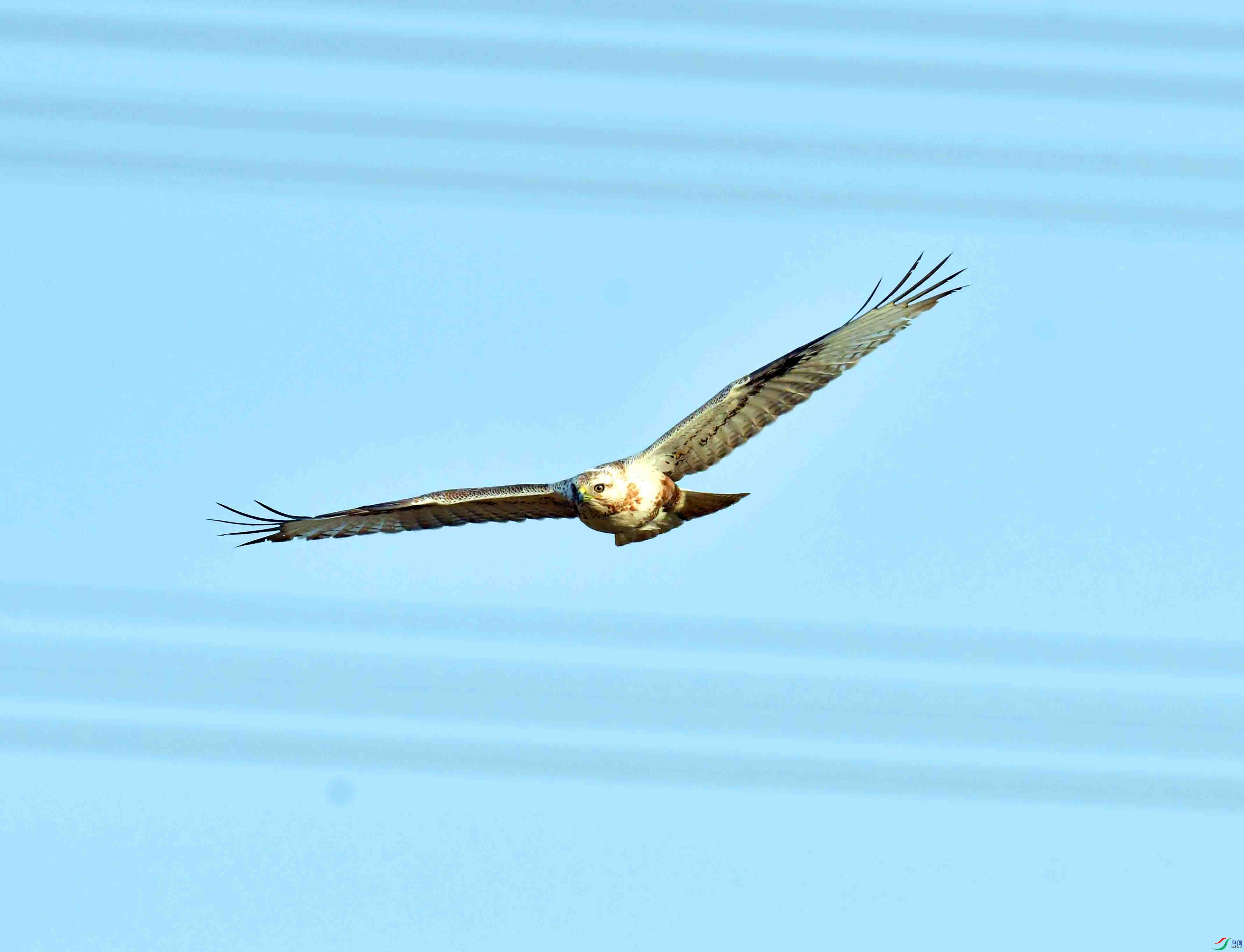 DSC_6067.JPG