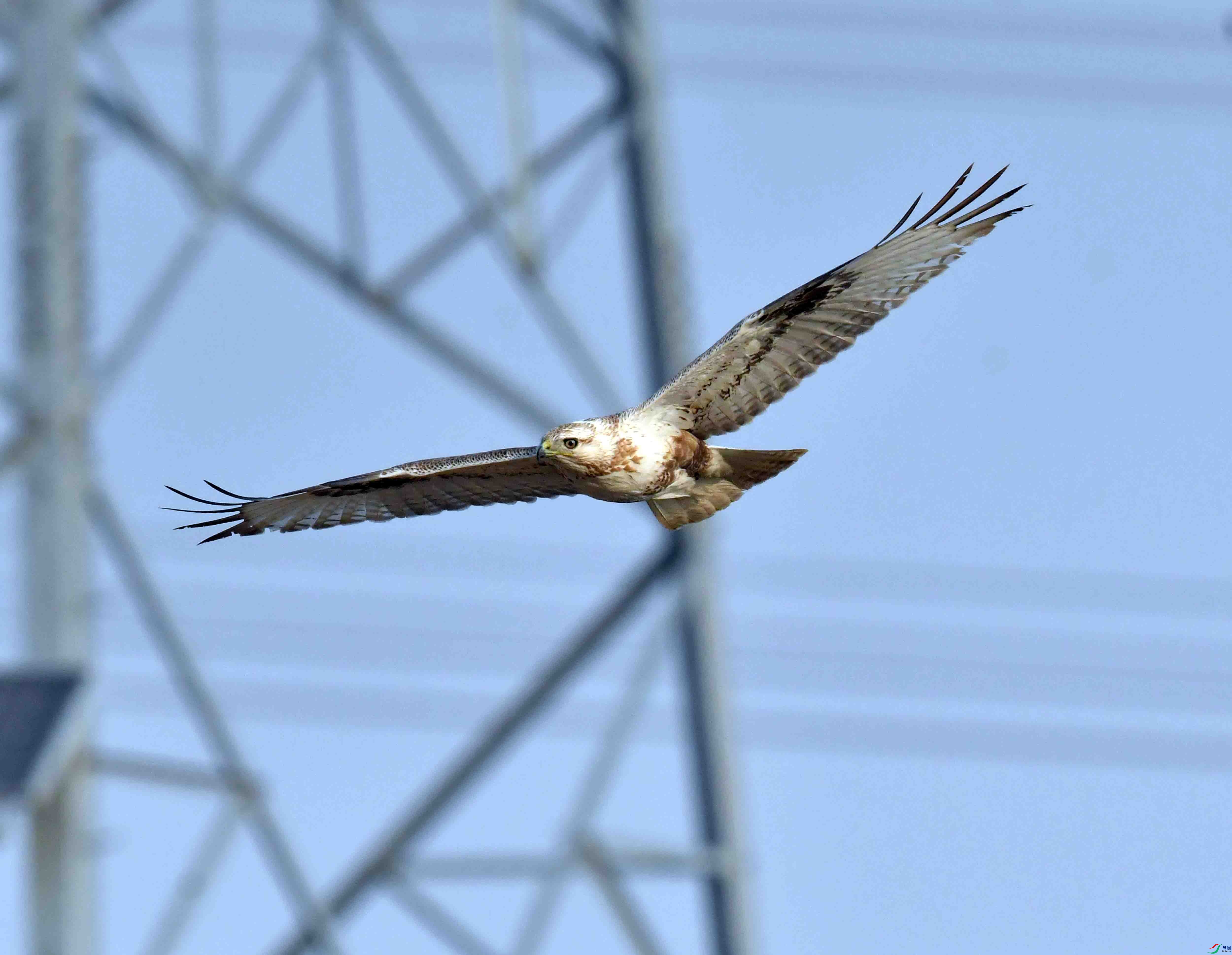 DSC_6068.JPG