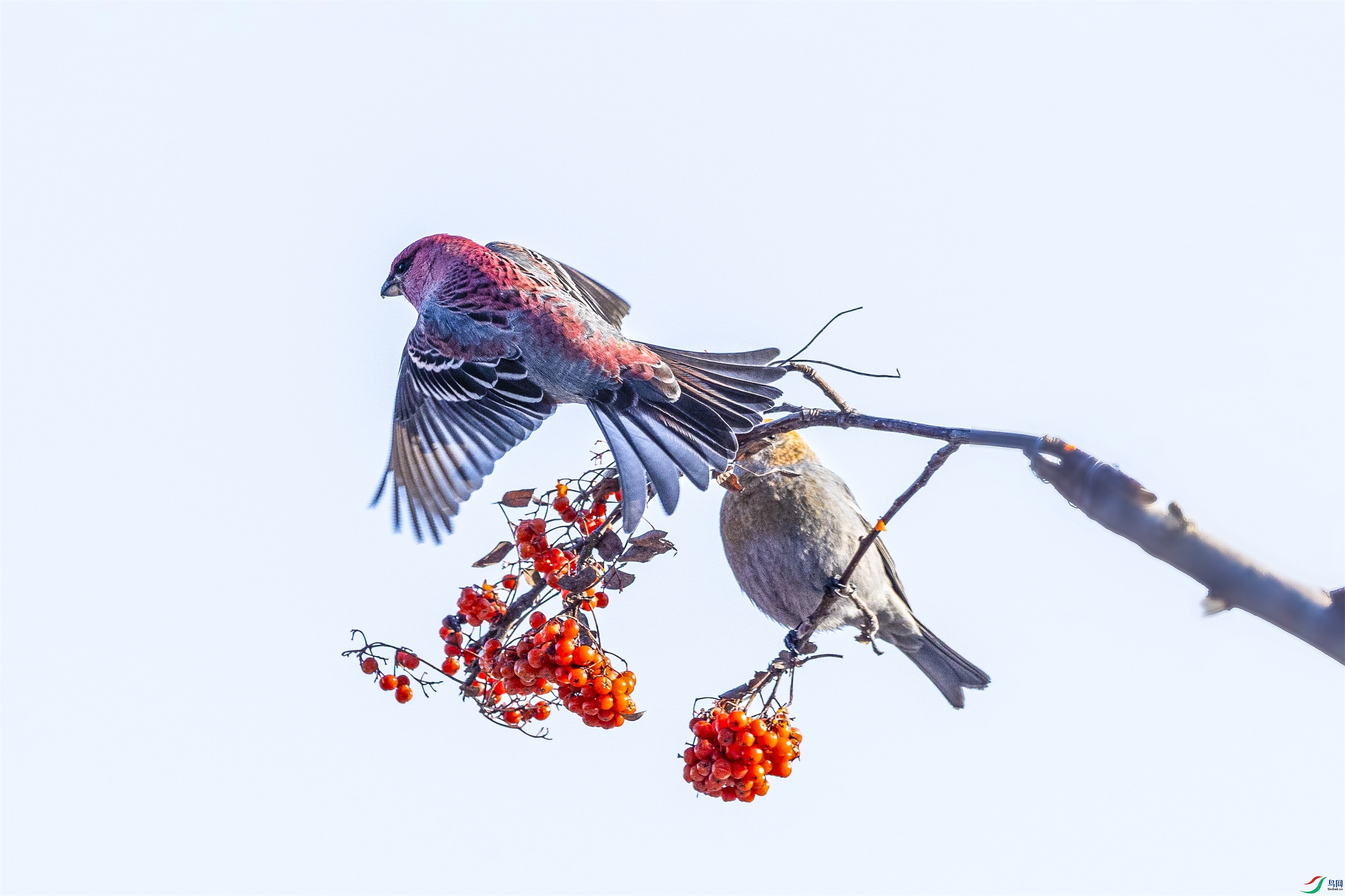 1K3A8680 ����1.jpg