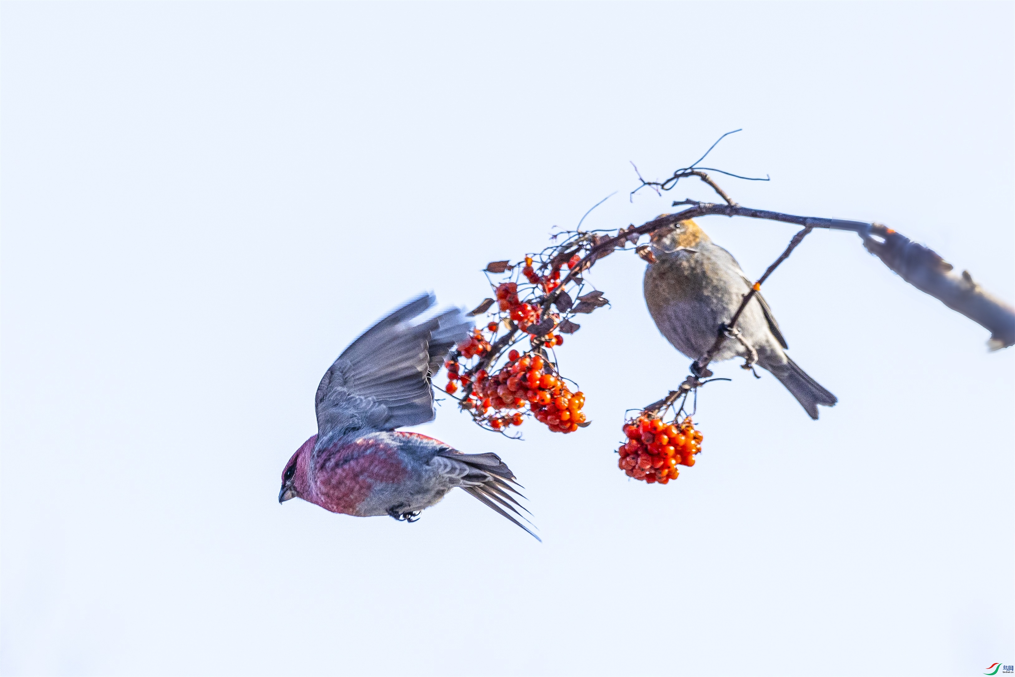 1K3A8686 ����1.jpg