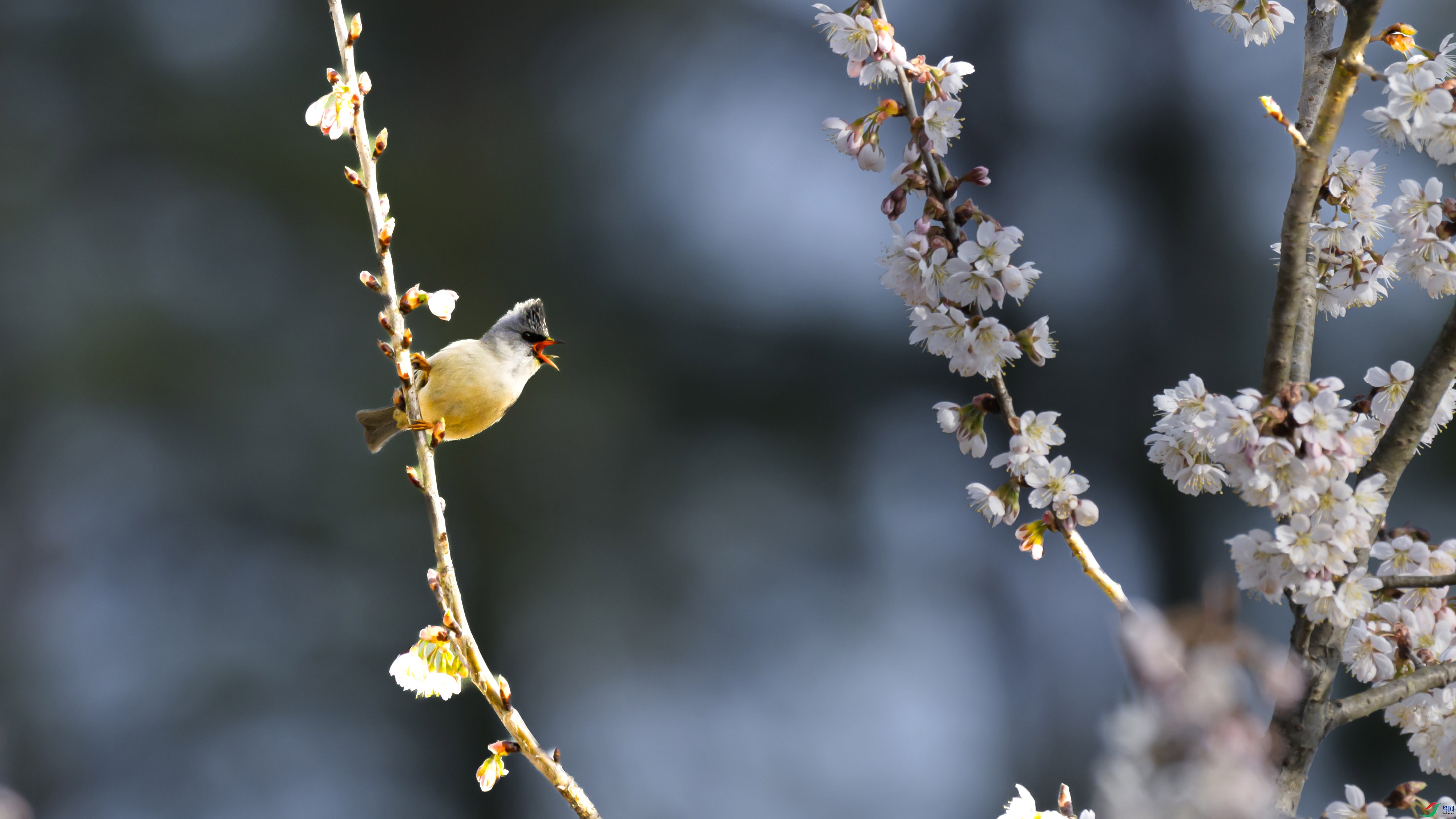 _DSC5158 ��������.jpg