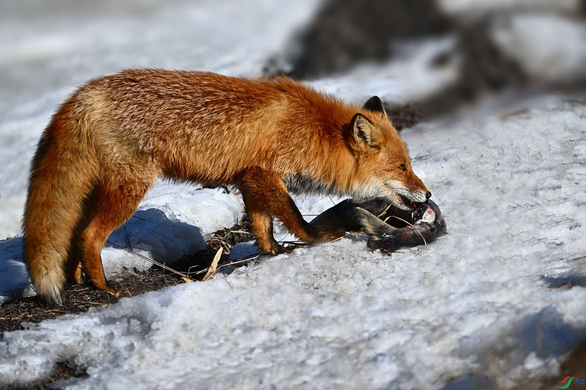 DSC_7766_.jpg