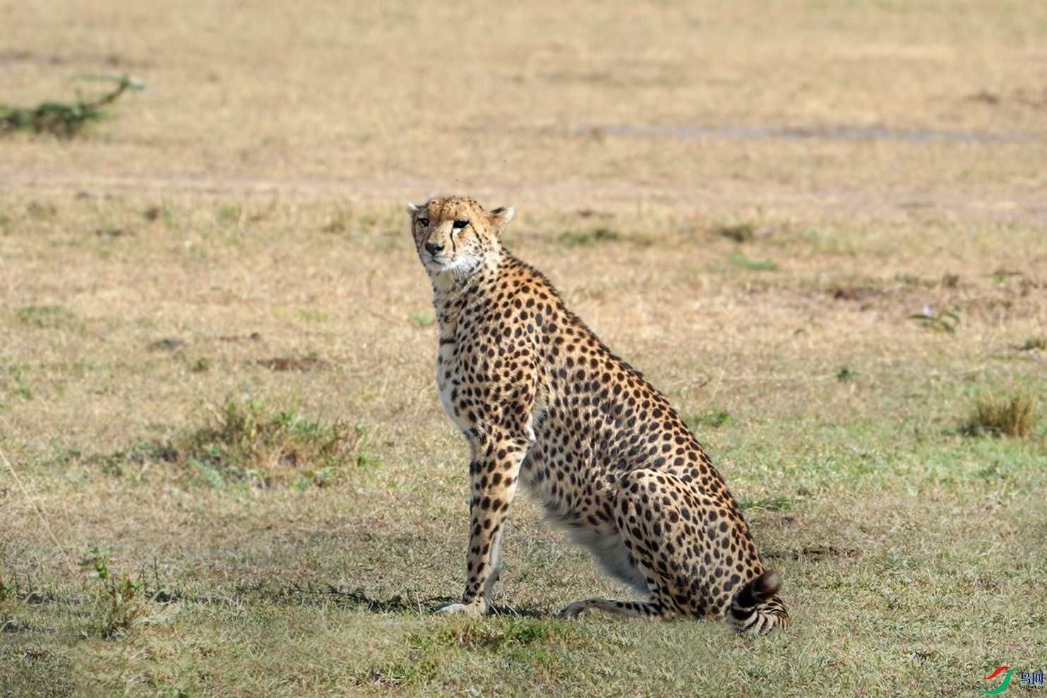 ΢��ͼƬ_20240306181010 ����.jpg