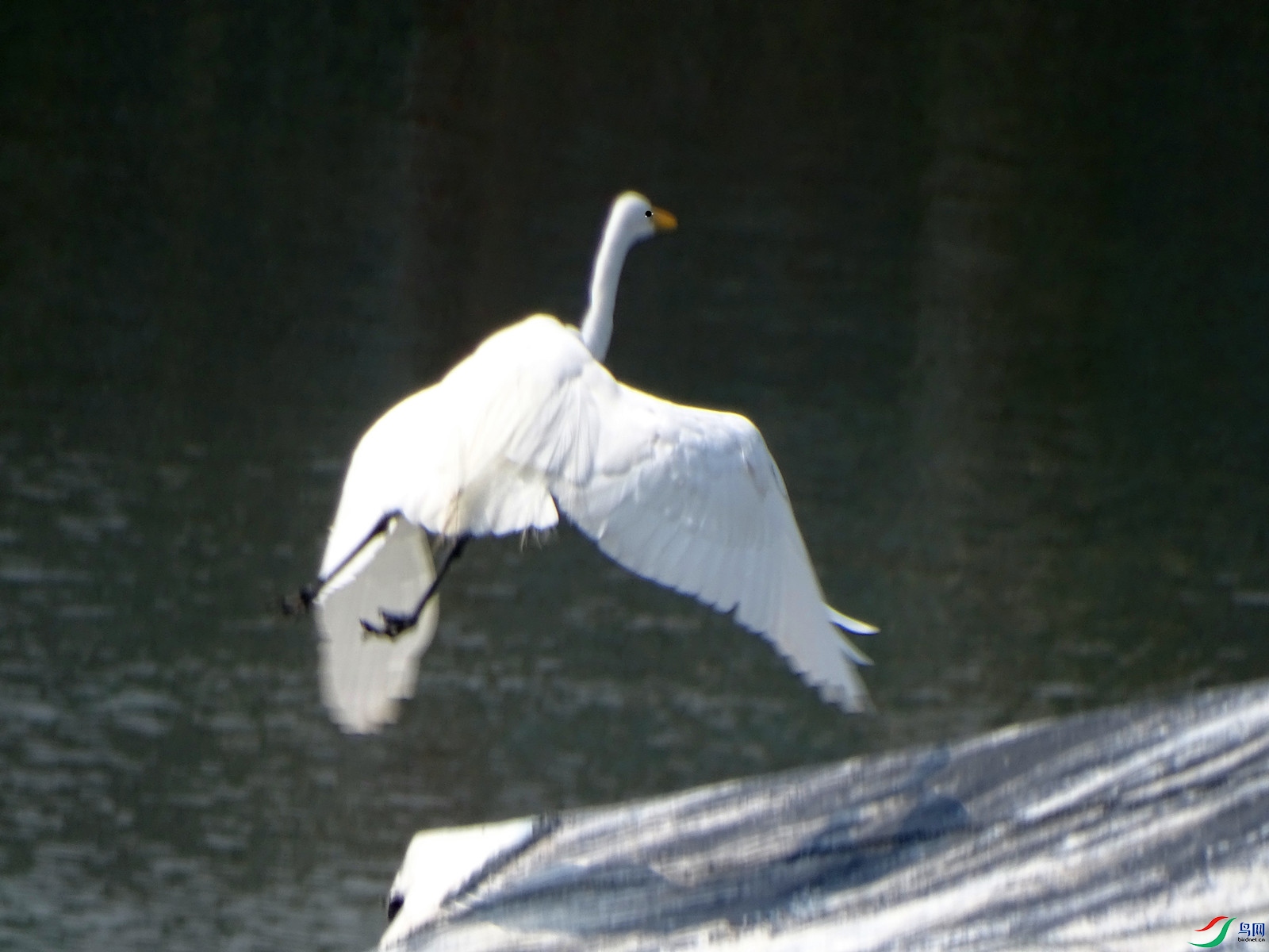DSC04509_����.jpg