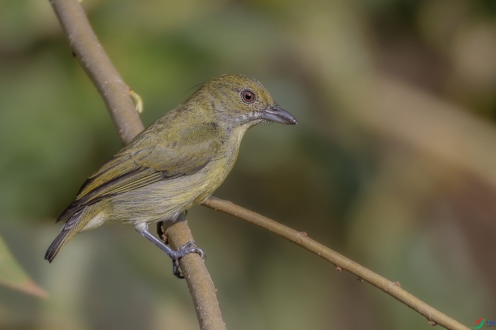 _97A2513-CR3 copy.jpg