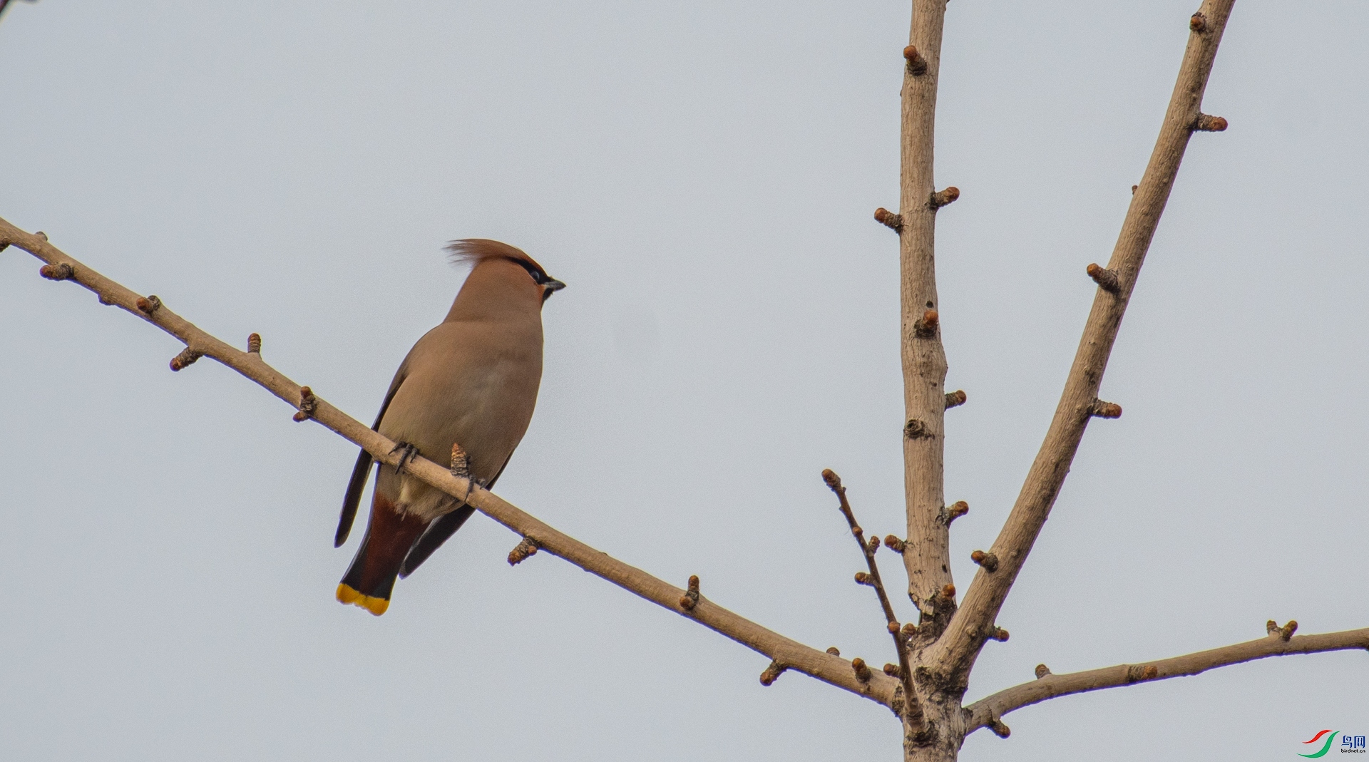 DSC_7881.jpg