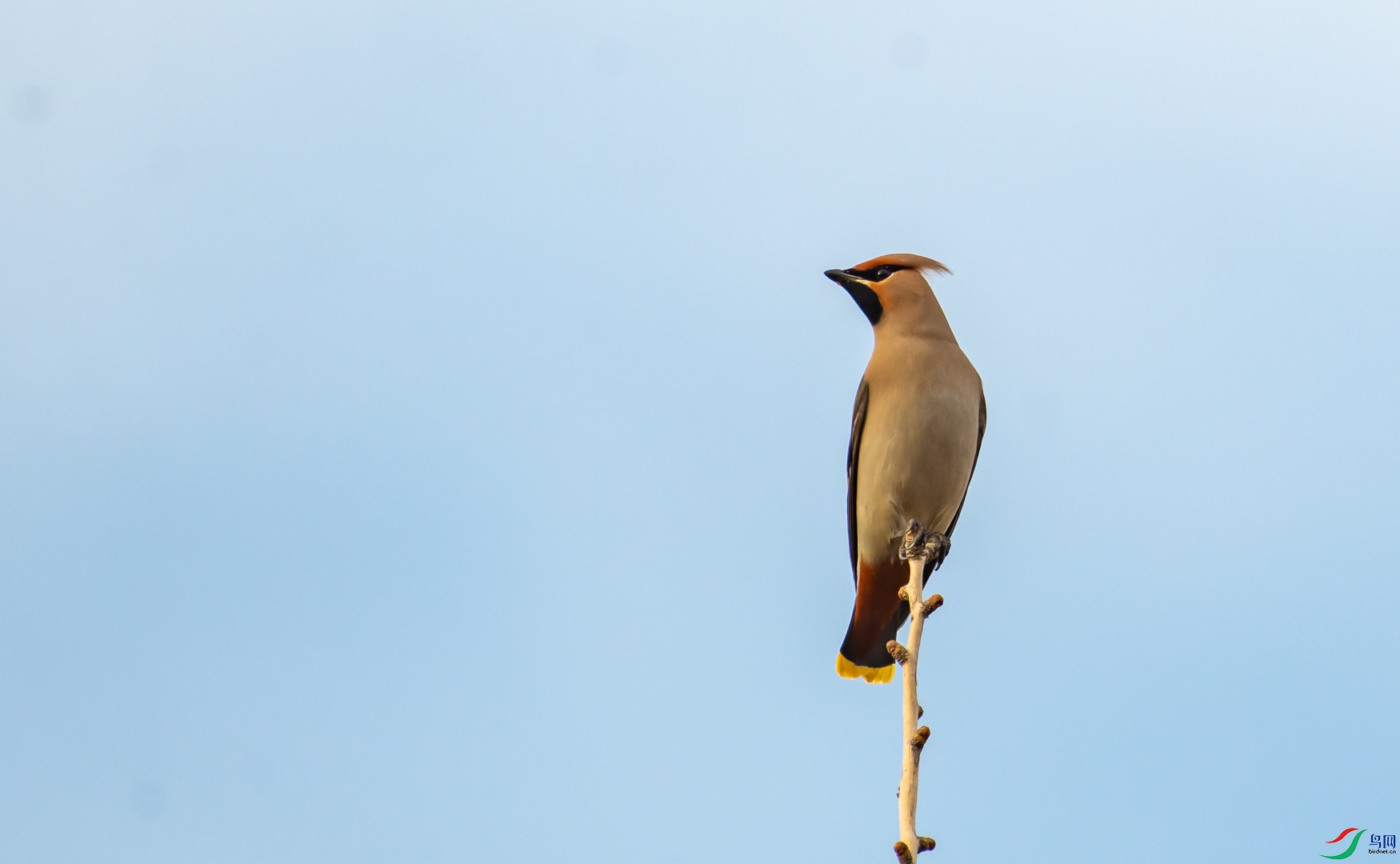 DSC_8063.jpg