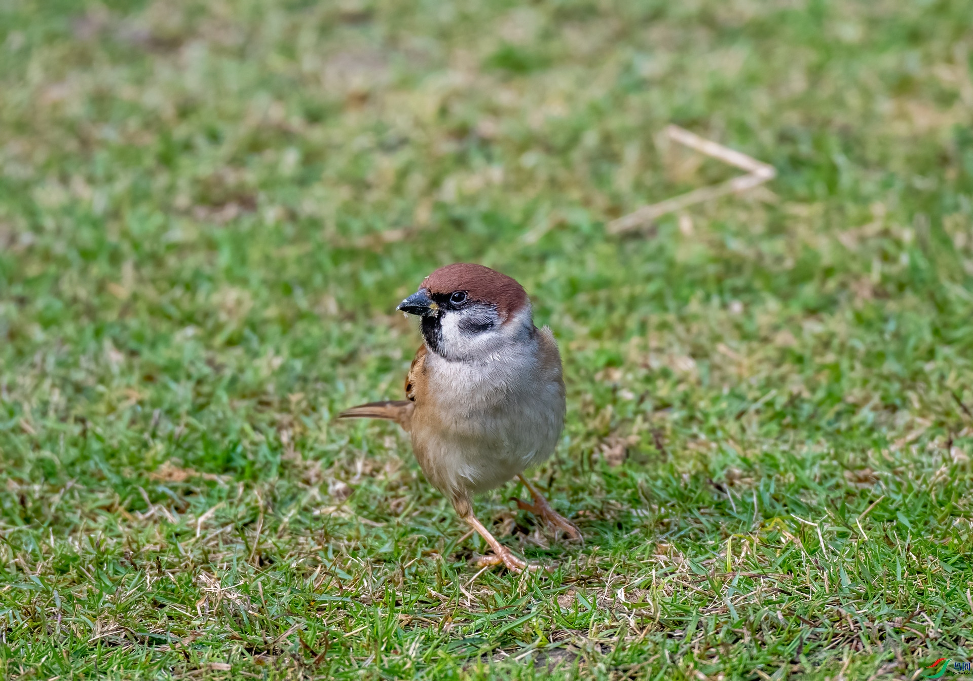 DSC_1879.jpg