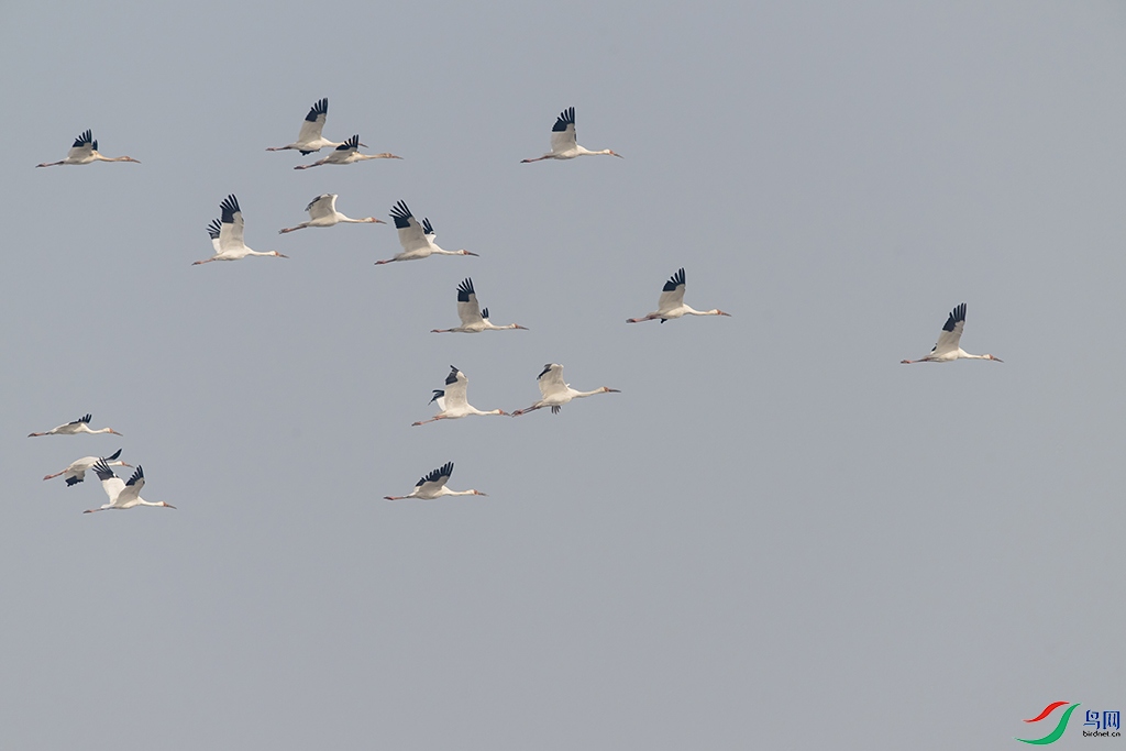 DSC_9070 ���� 2.jpg