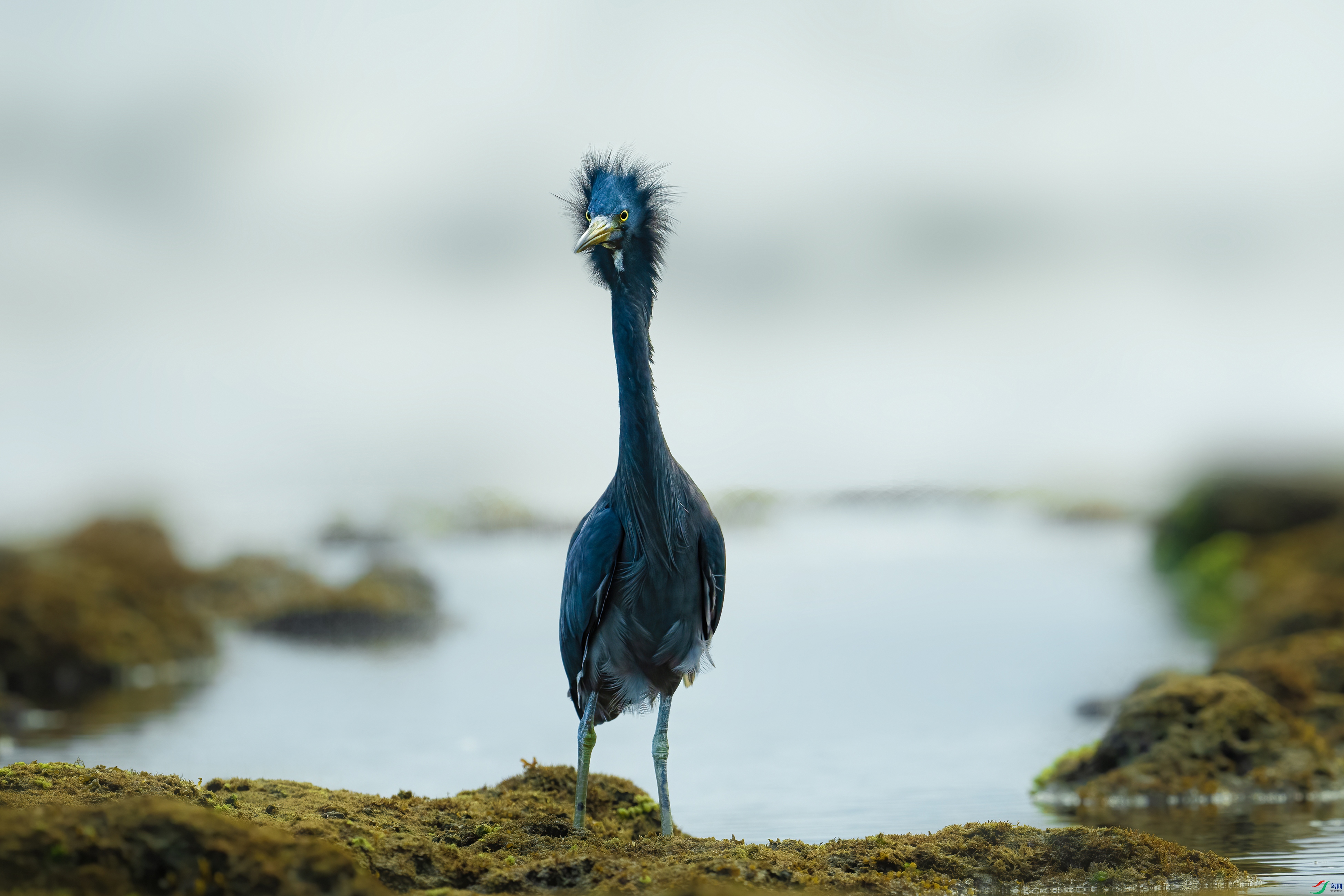 DSC08347 ���� jpg.jpg