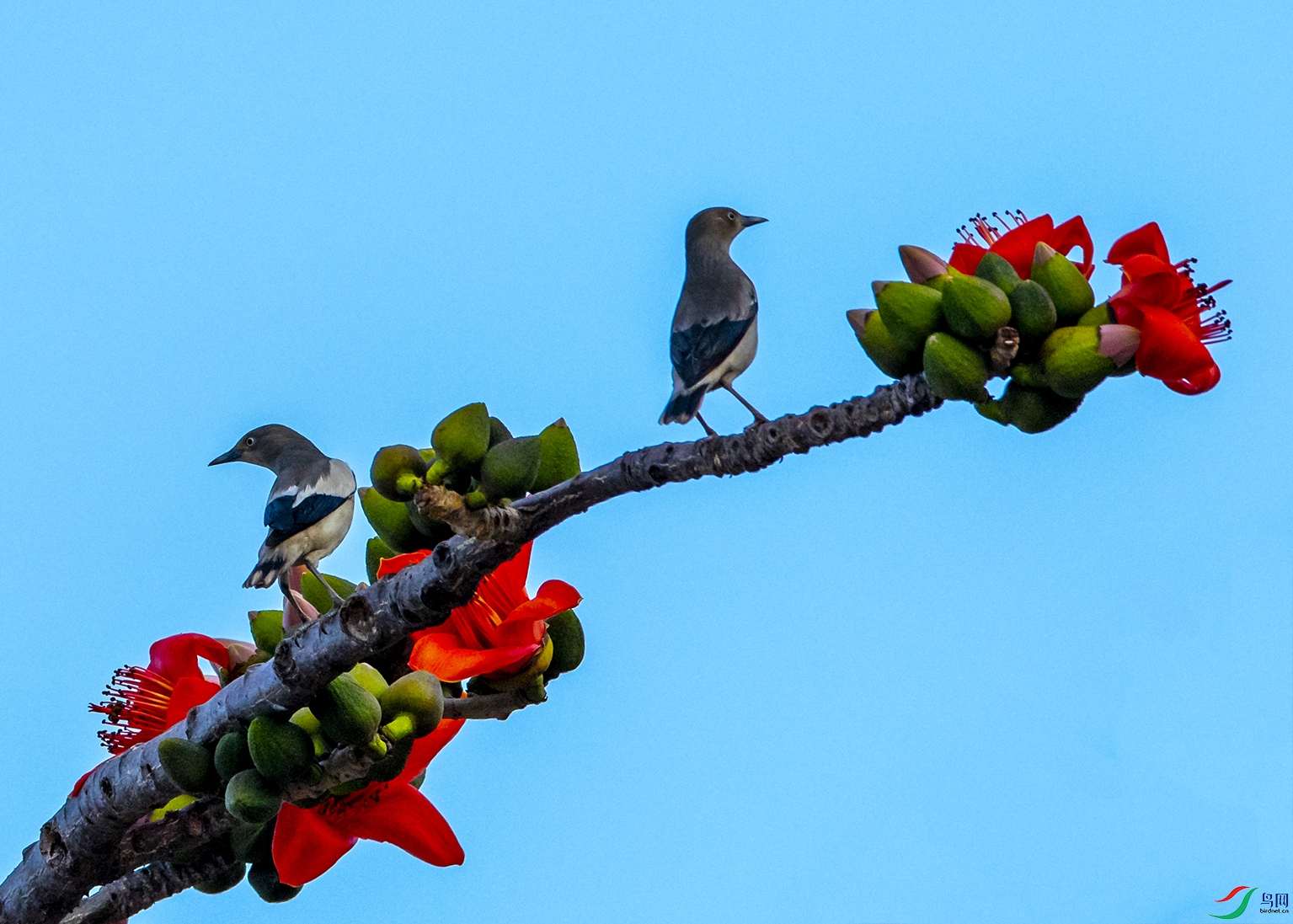 6178 ����.jpg