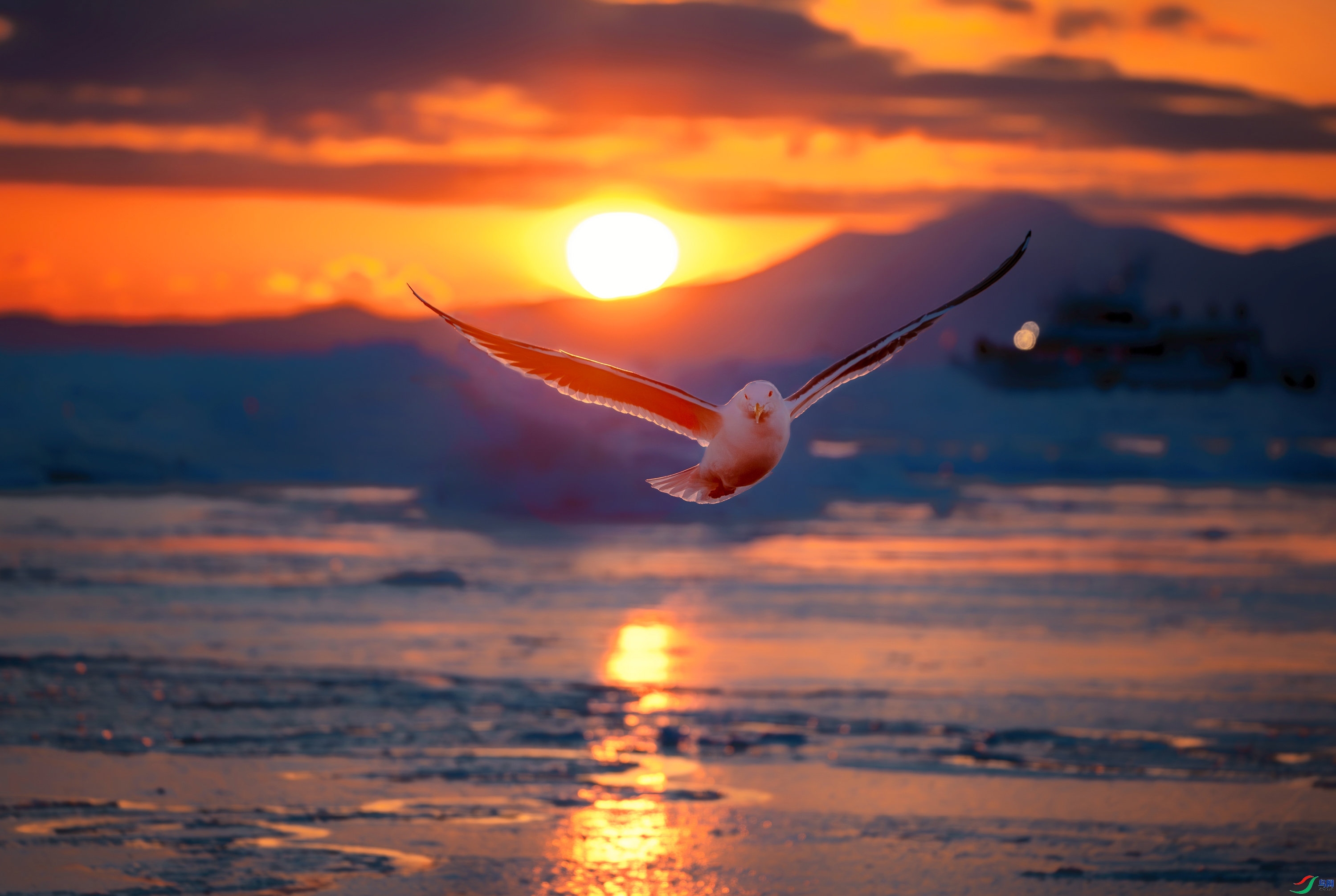 �����еķ�Ÿ ���� ��Ϳ�ֺ�Ϳ ����.jpeg