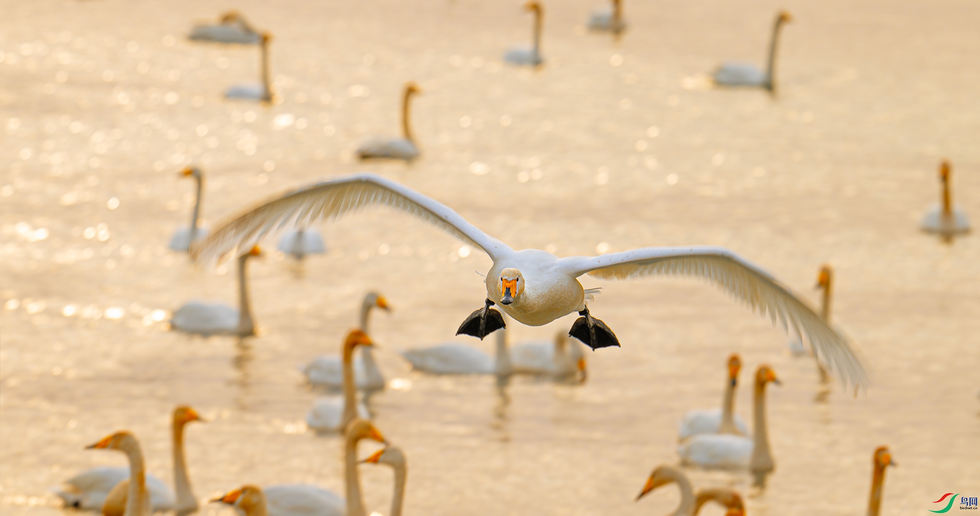 _DSC2637==1w.jpg