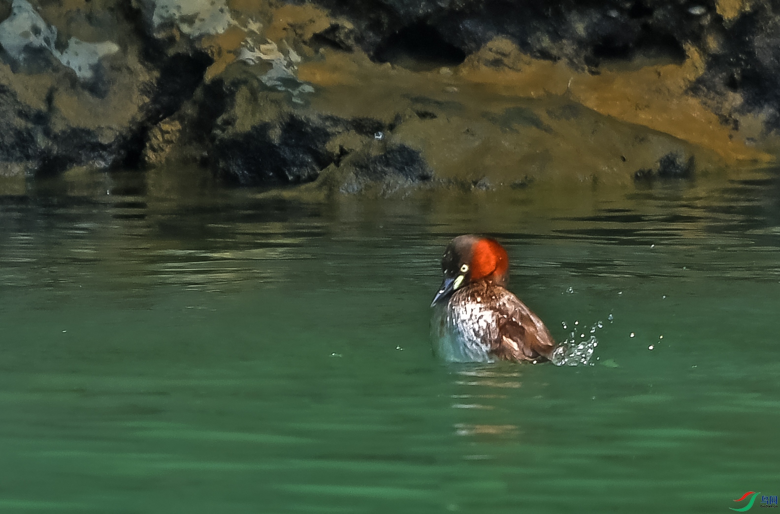 DSC_5680.JPG