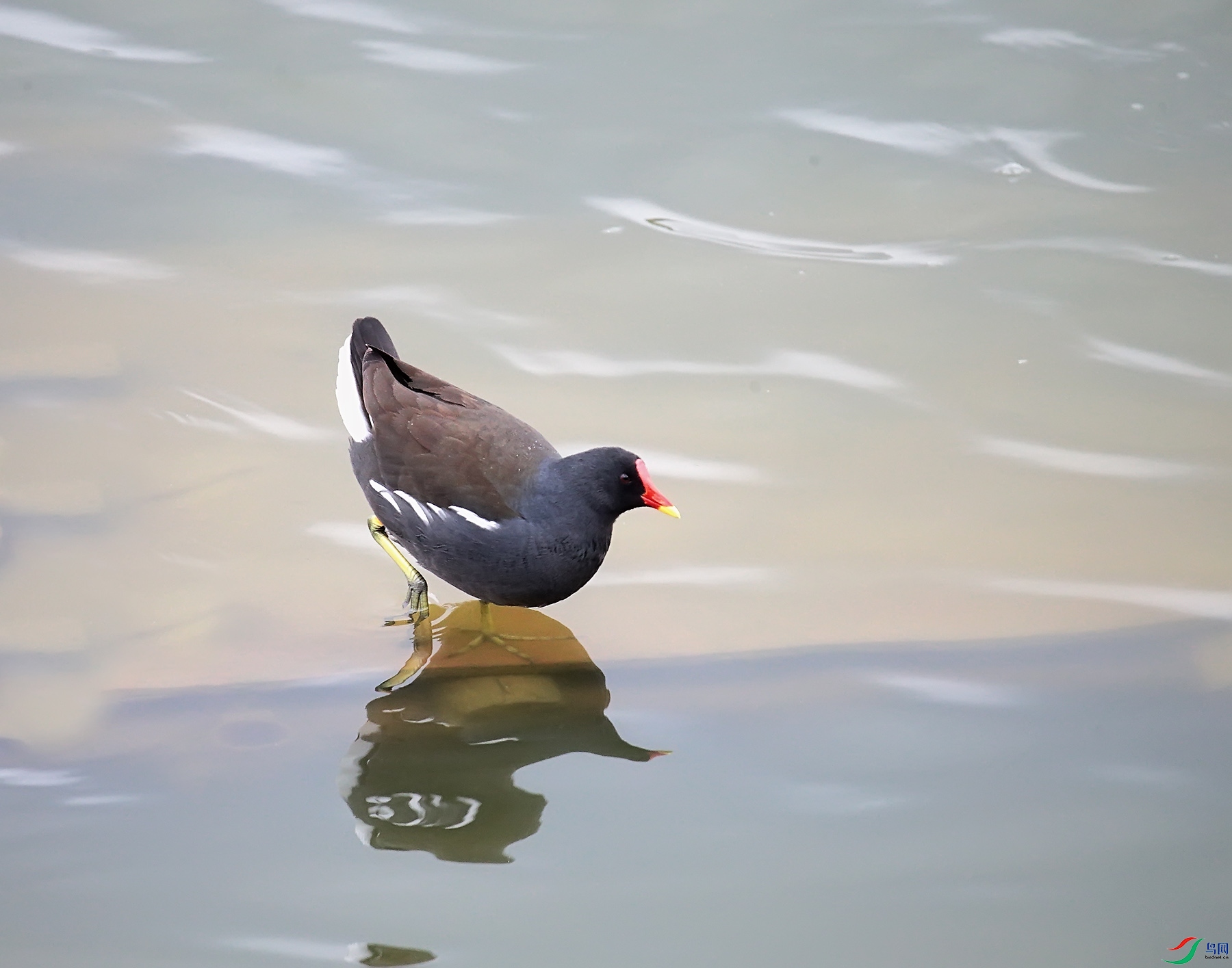 DPP_1081.jpg